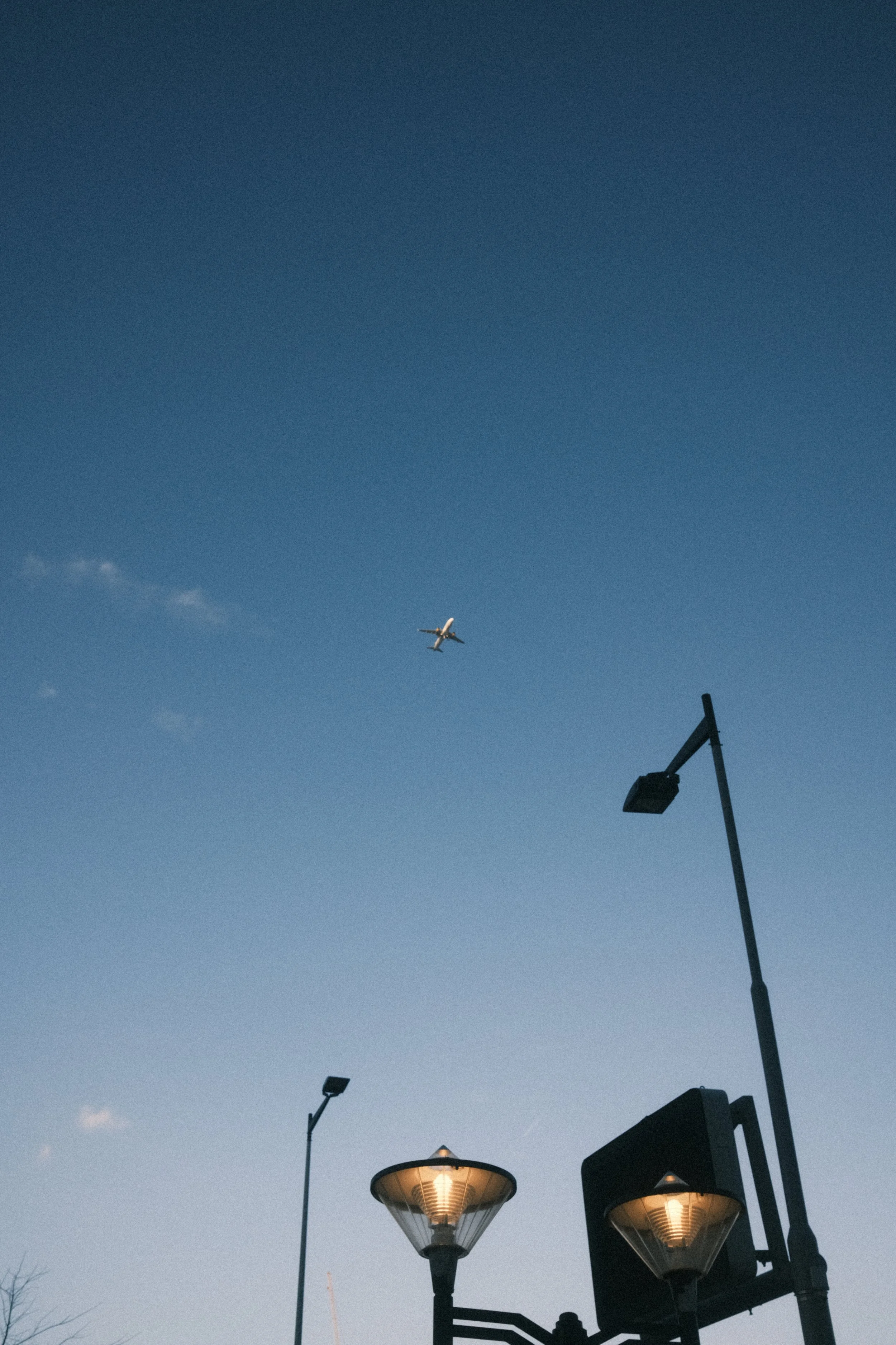 DSCF8631.JPG