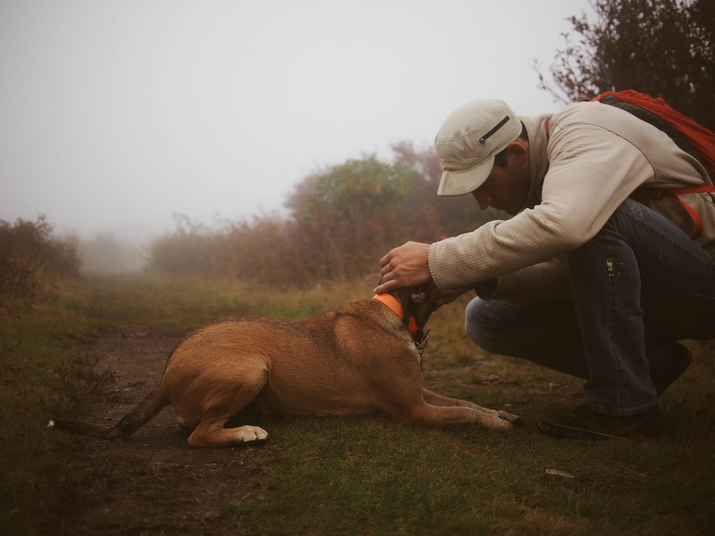 Grayson Highlands with Meg and Bruce | King George, VA | Merritt Chesson Photography
