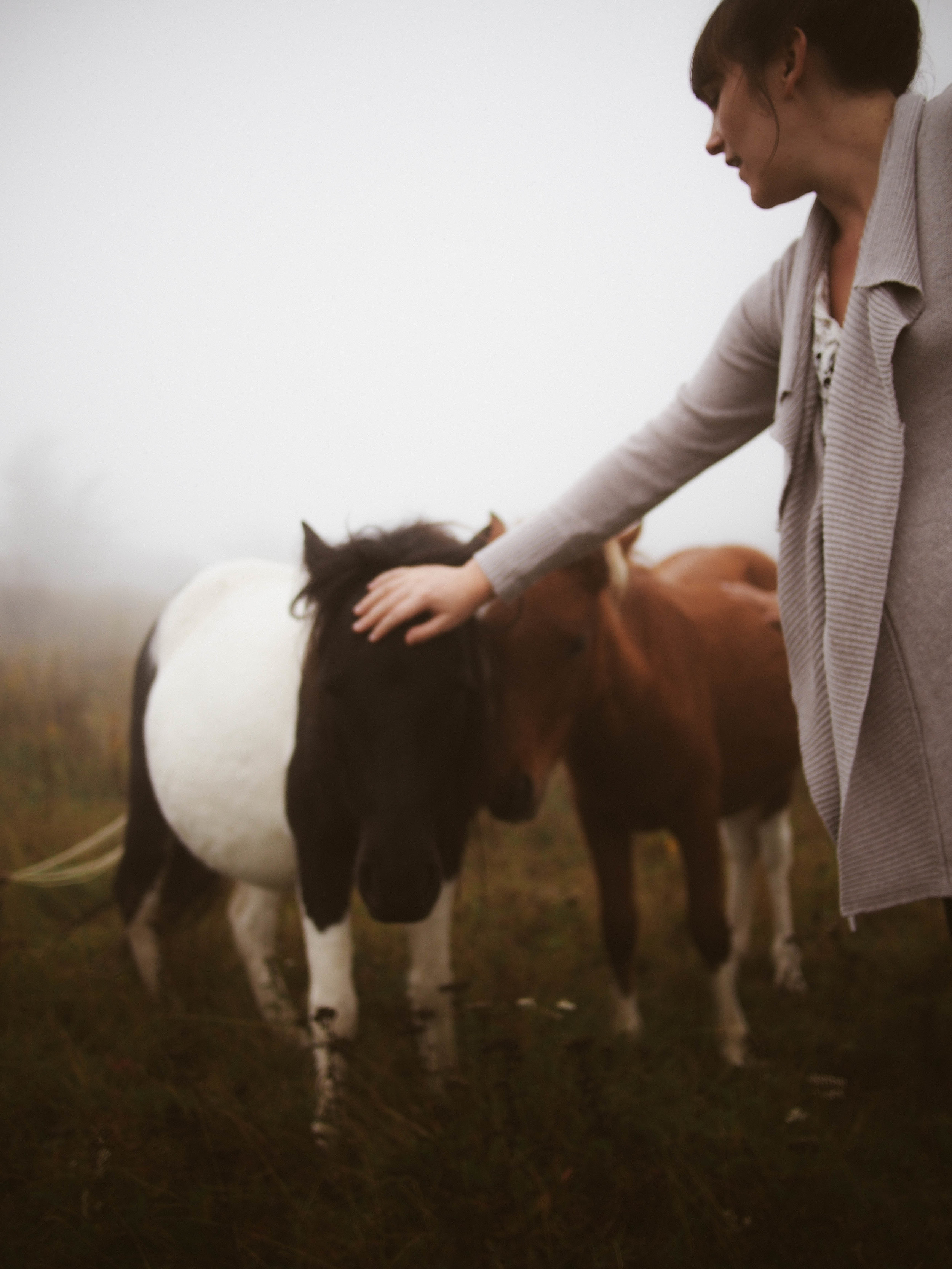 Grayson Highlands with Meg and Bruce | King George, VA | Merritt Chesson Photography