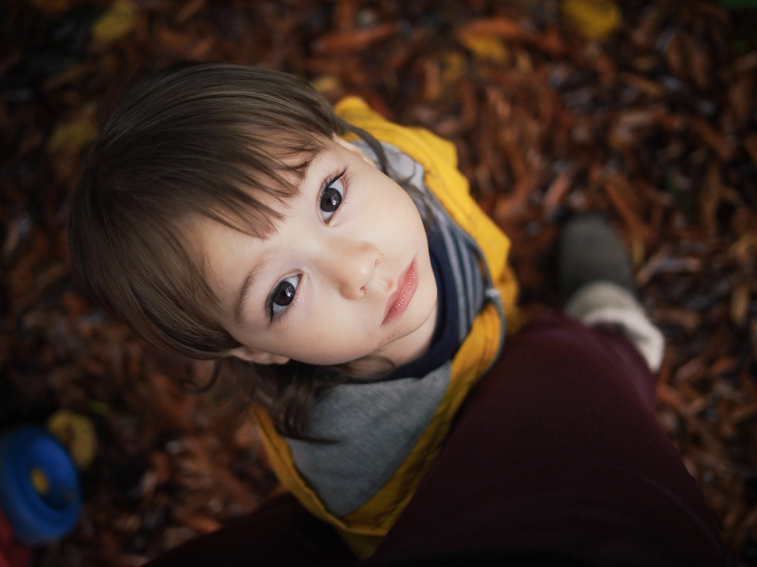 Preschool Portraits Galore | Merritt Chesson Photography | Durham, NC