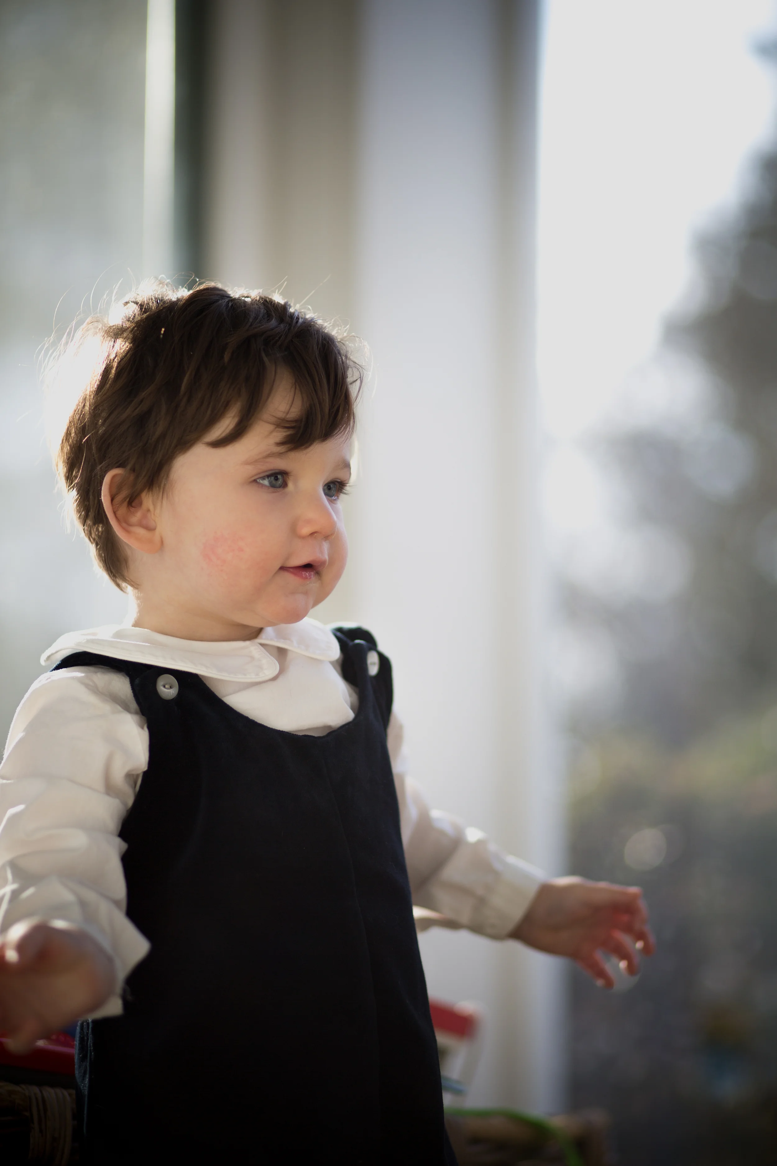 Jennifer's Boys | child portraits | Merritt Chesson Photography