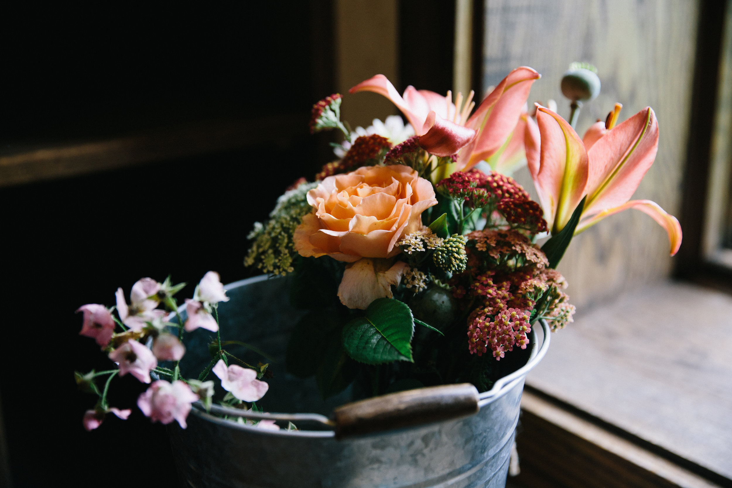Intimate Mountain Wedding | Castle Ladyhawke, NC | wedding photographer | Merritt Chesson Photography
