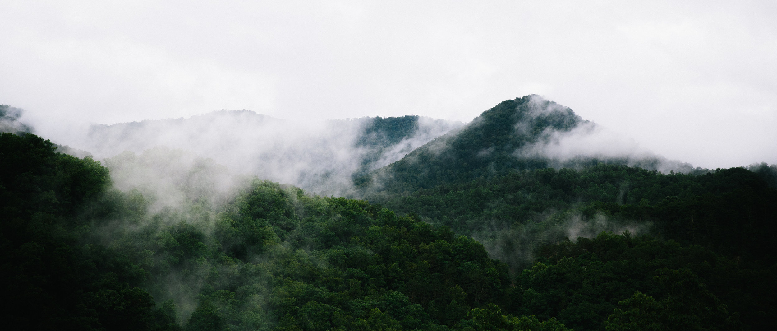 Intimate Mountain Wedding | Castle Ladyhawke, NC | wedding photographer | Merritt Chesson Photography