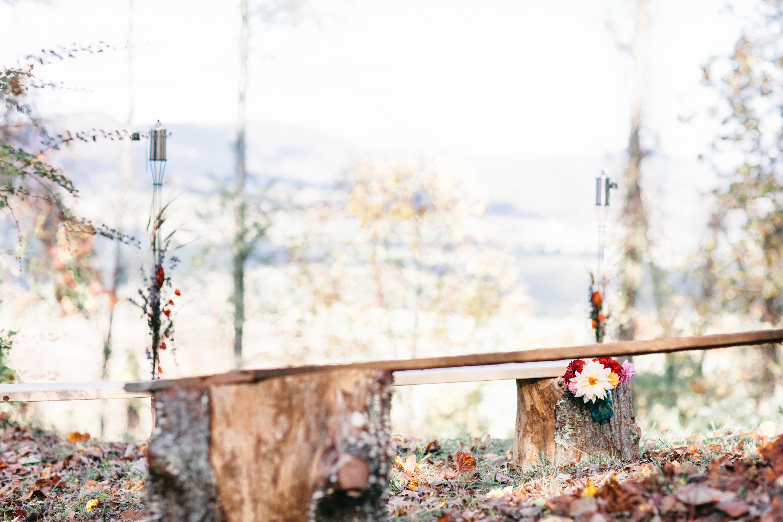 Sarah + Ben: Intimate DIY Mountain Wedding in Elk Creek, Virginia | wedding photographer | Merritt Chesson Photography