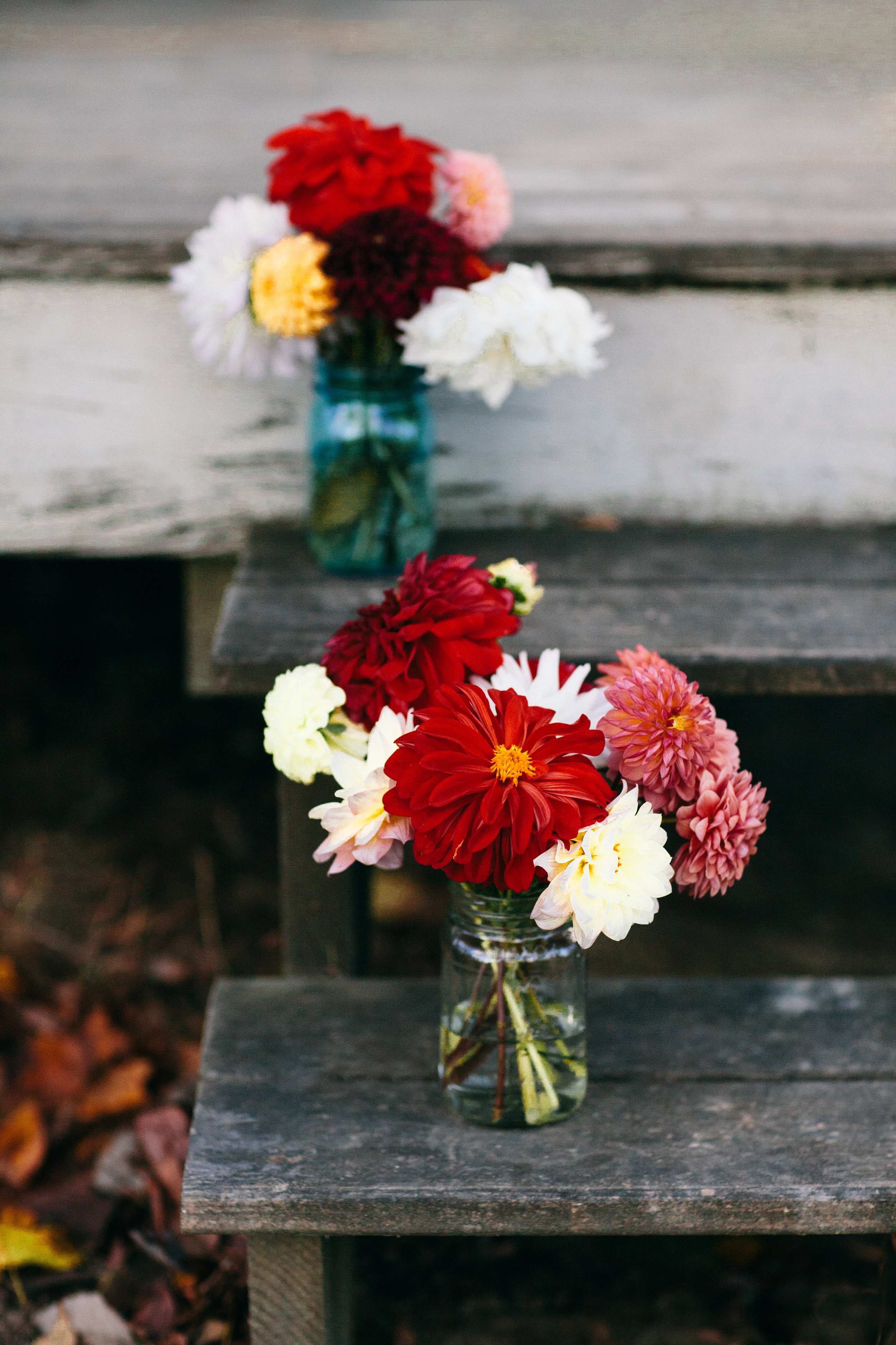 Sarah + Ben: Intimate DIY Mountain Wedding in Elk Creek, Virginia | wedding photographer | Merritt Chesson Photography