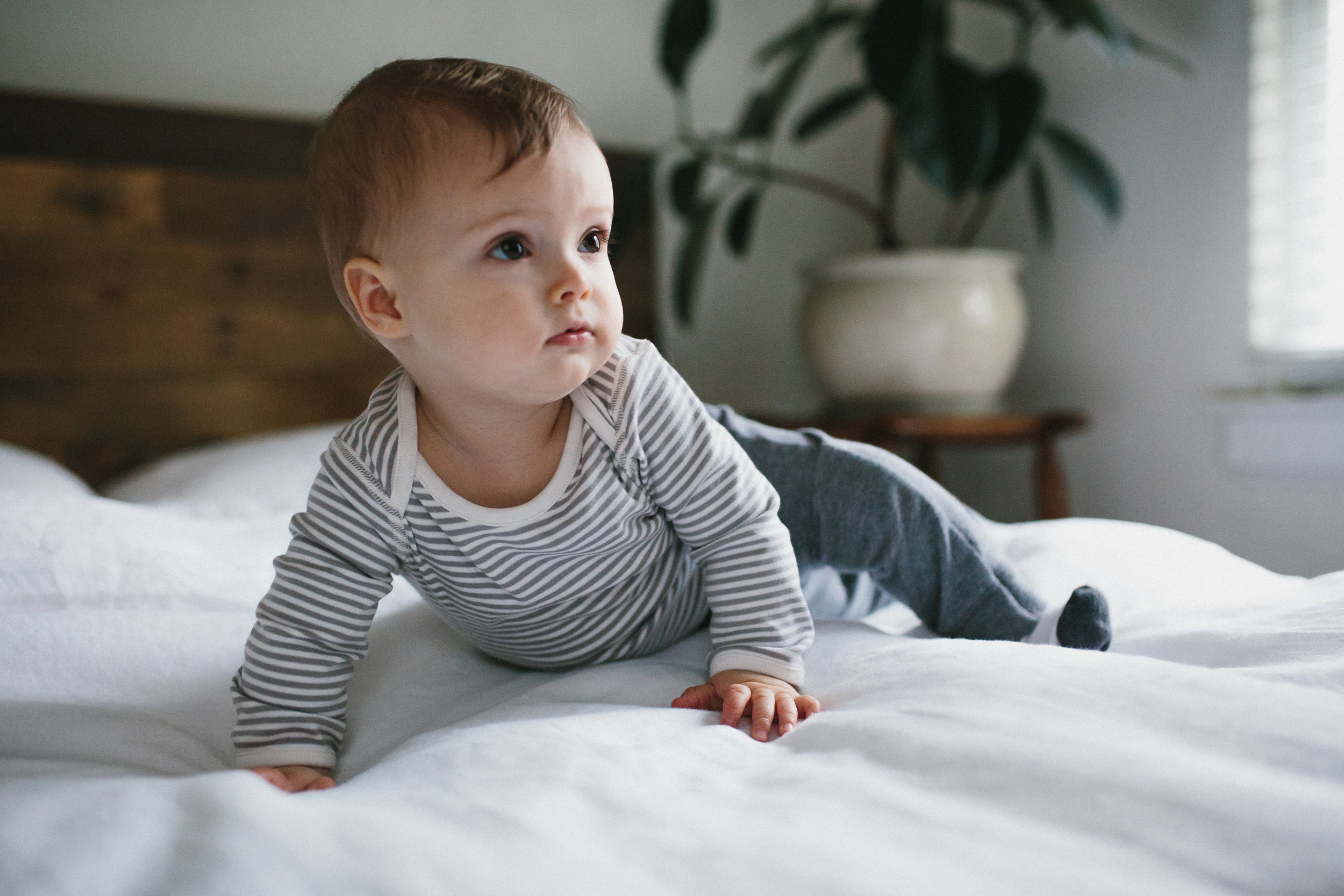 Linus: 8 months | family photographer | Durham, NC | Merritt Chesson Photography