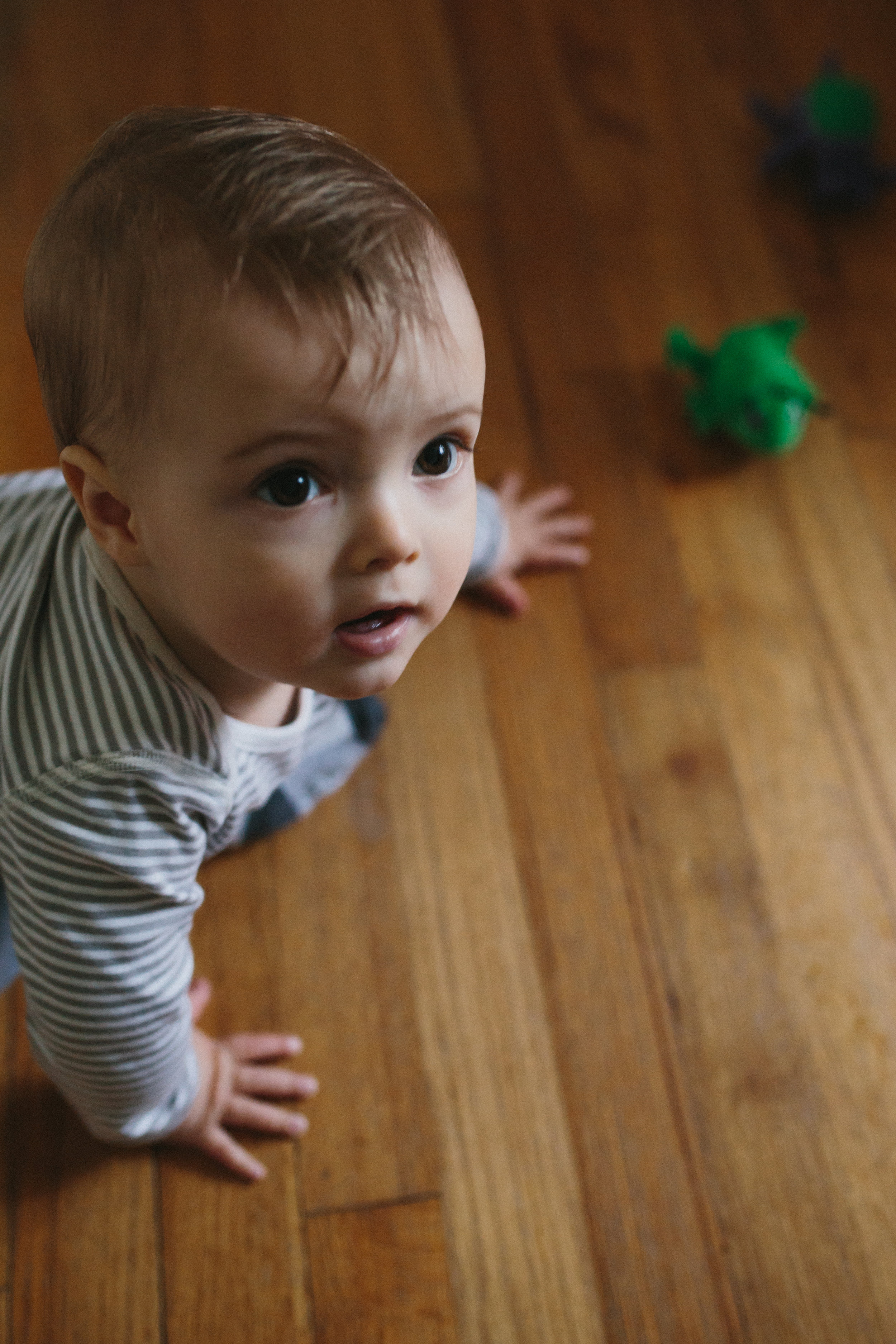 Linus: 8 months | family photographer | Durham, NC | Merritt Chesson Photography