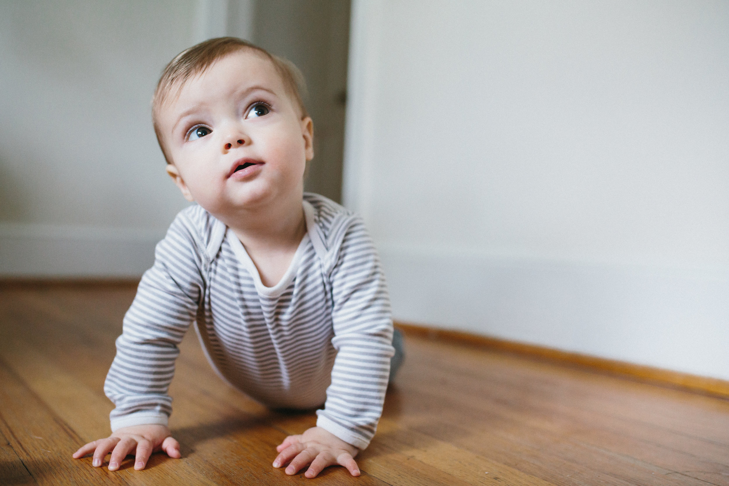 Linus: 8 months | family photographer | Durham, NC | Merritt Chesson Photography