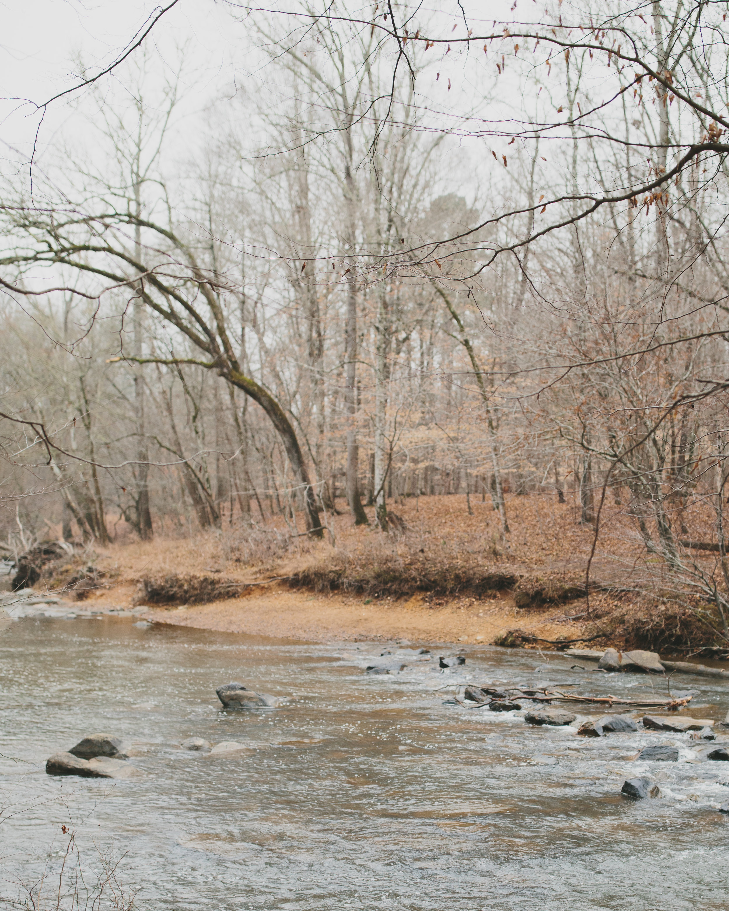 Eno River State Park, Few's Ford Access | Durham, NC | Merritt Chesson Photography