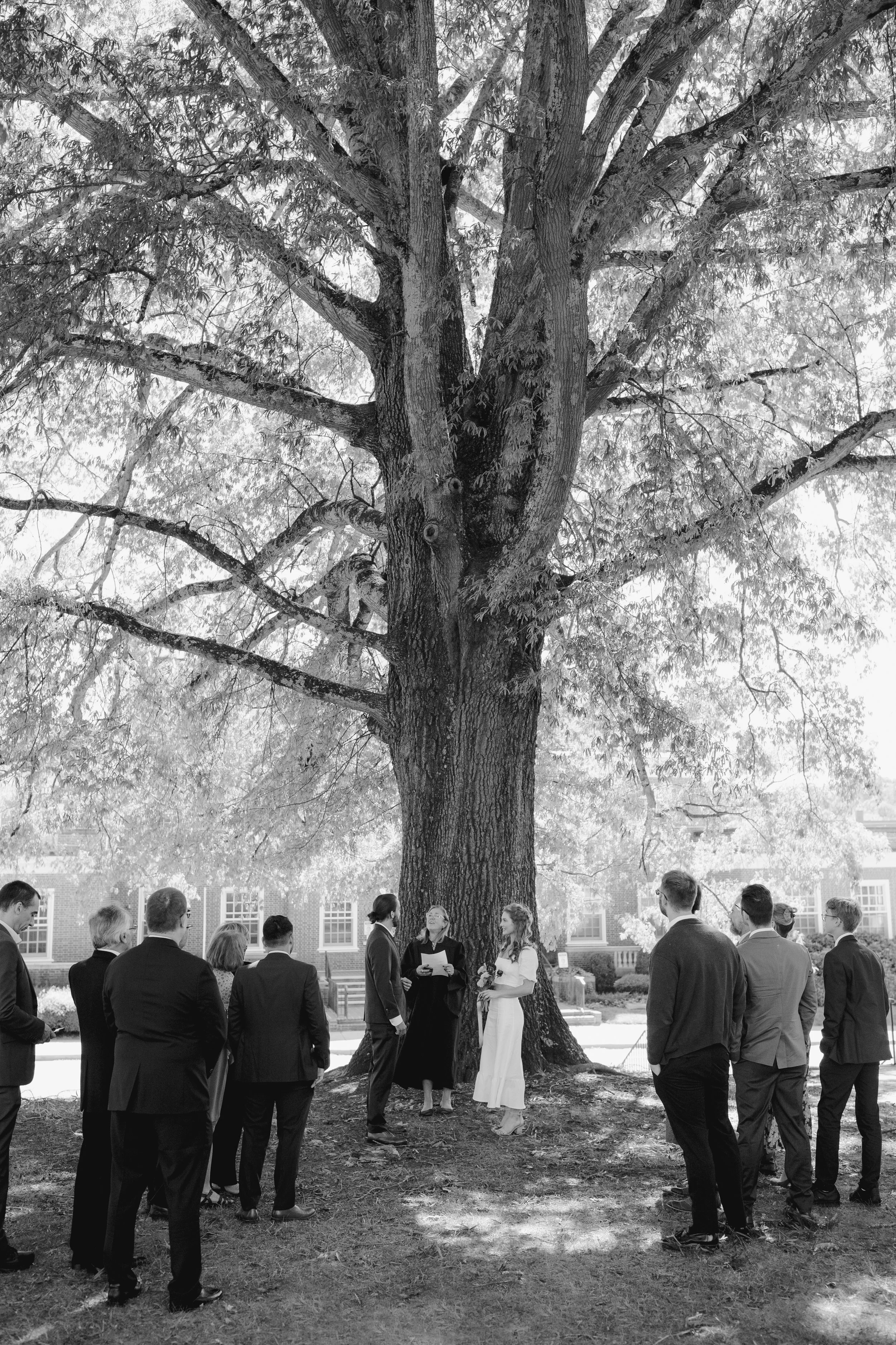Courthouse wedding in Hillsborough, NC | Durham, NC photographer | Merritt Chesson Photography