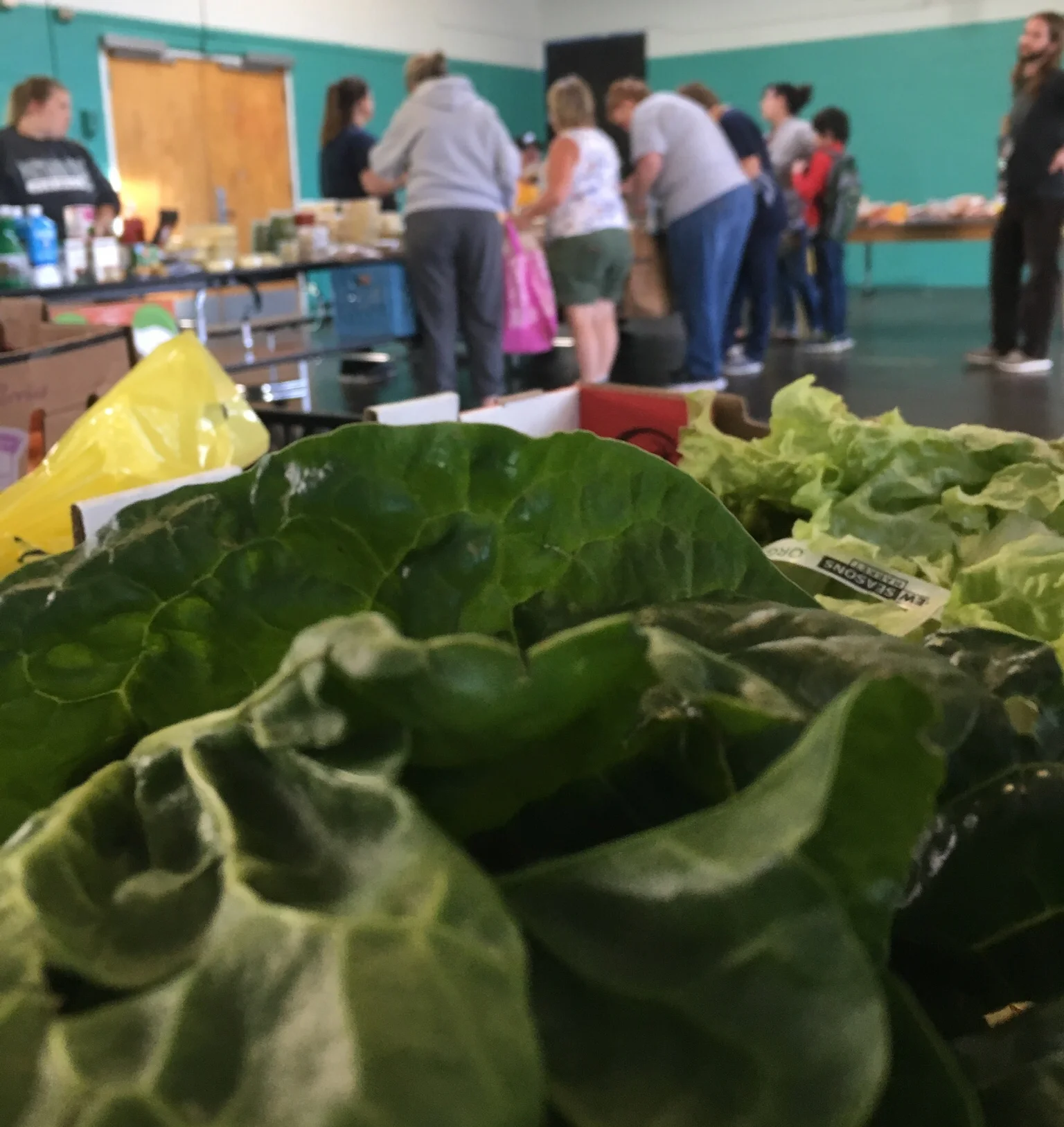 The Journey of Fighting Food Insecurity