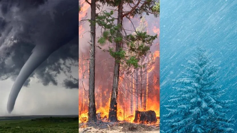 Ask the Experts: Preparing Your Organization for Natural Disasters 