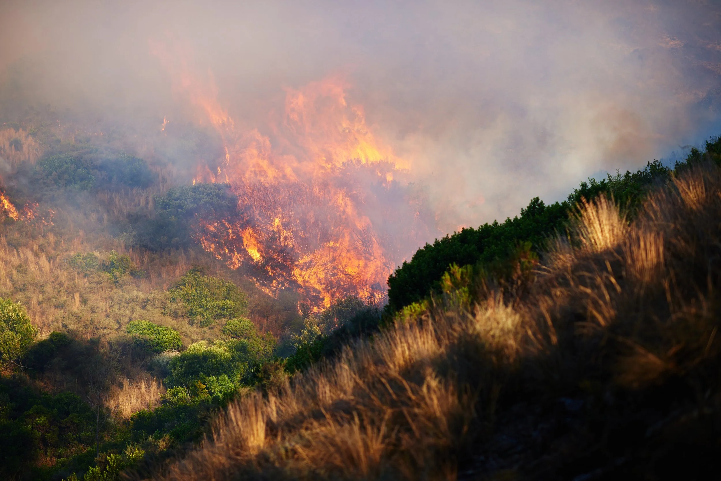 Wild fire moves over plains of grass