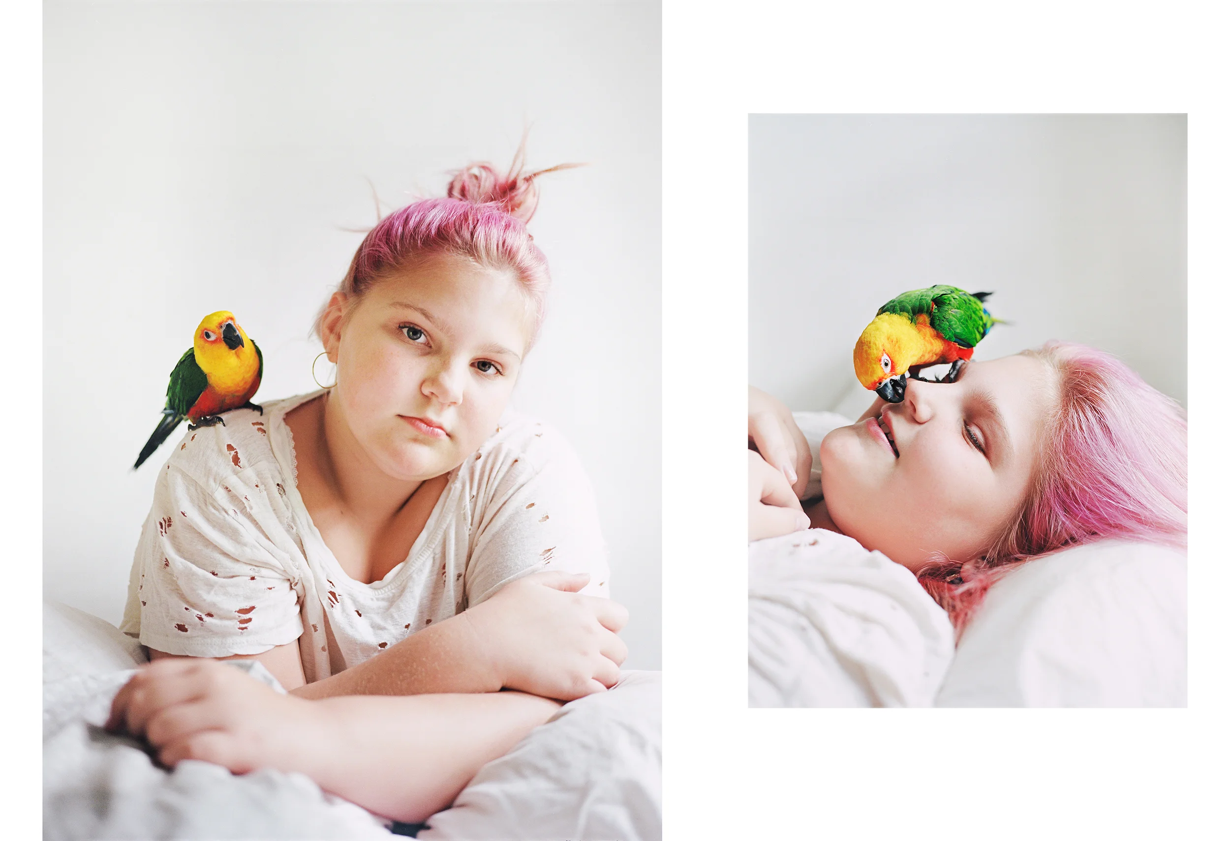 annabelle & francis