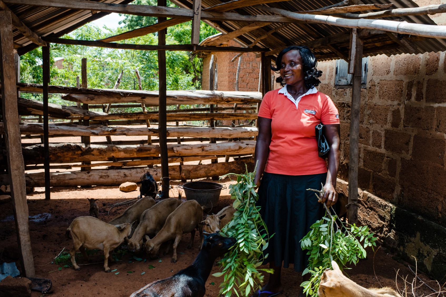 IADES began to provide loan to farmers in 2015 60% of Togo's population live in rural areas, trying to ear an income while coping with the harsh climate and rain shortages.