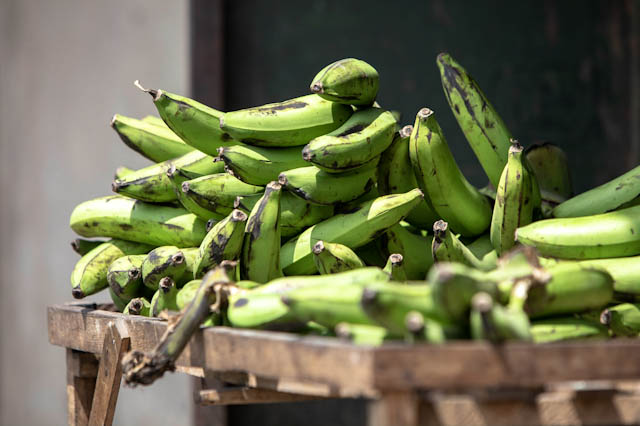 Bananas - Uganda.jpg
