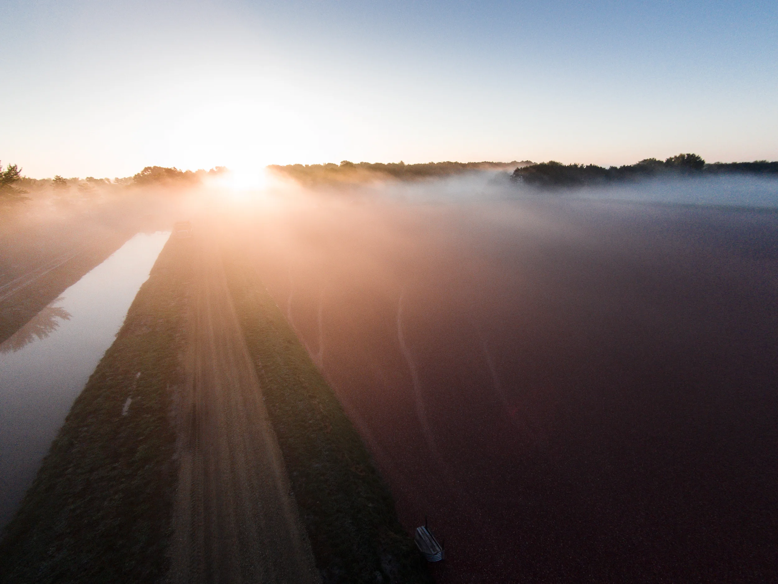 DJI00316.jpg