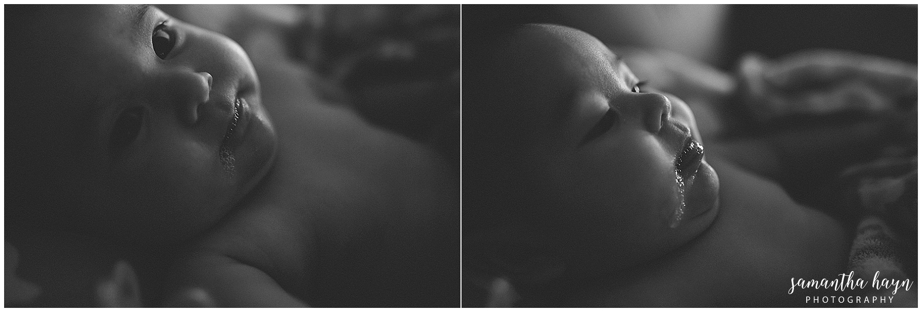 2017-01-31_0022.jpg