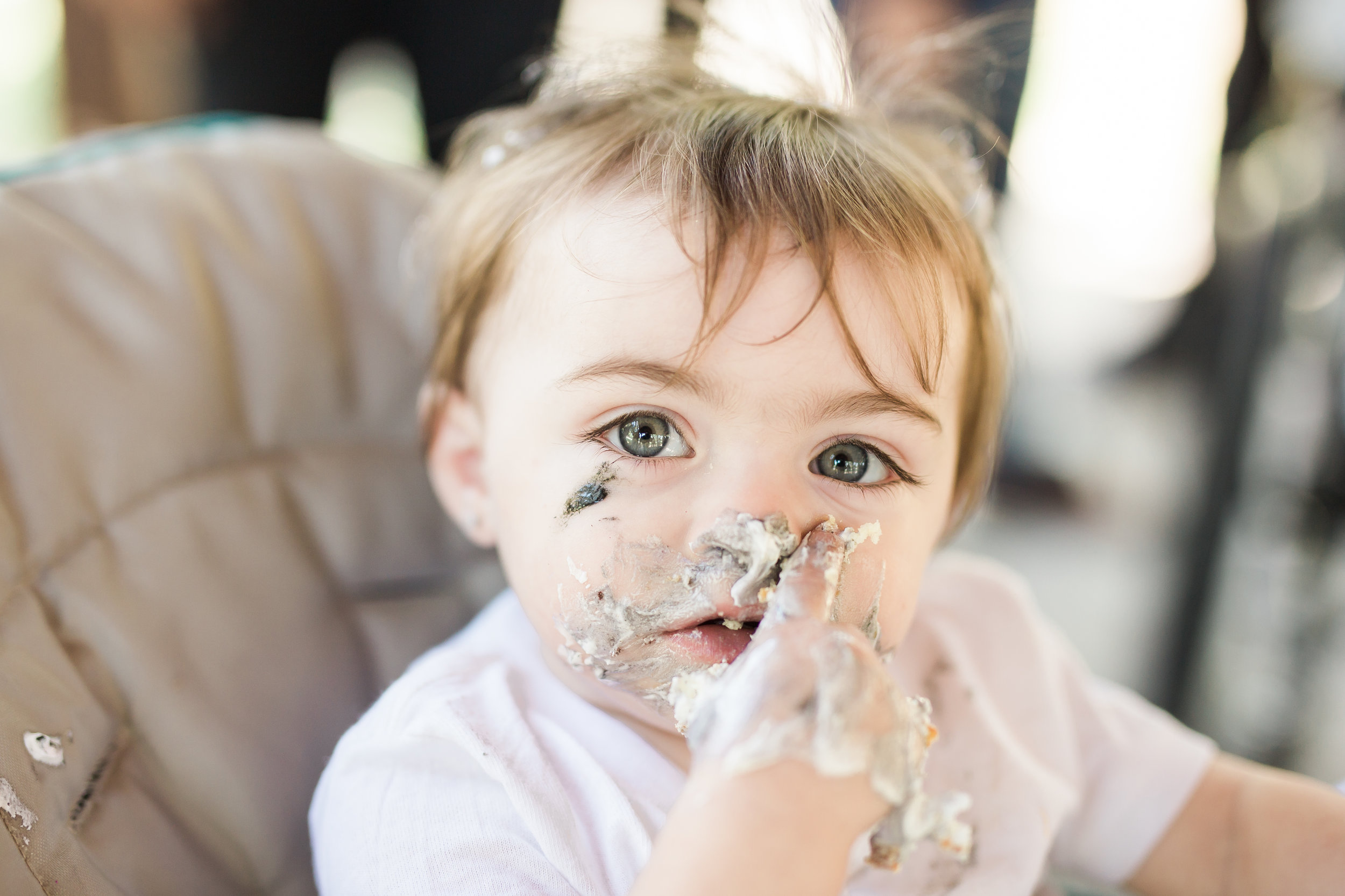 cake smash, pinellas county fl