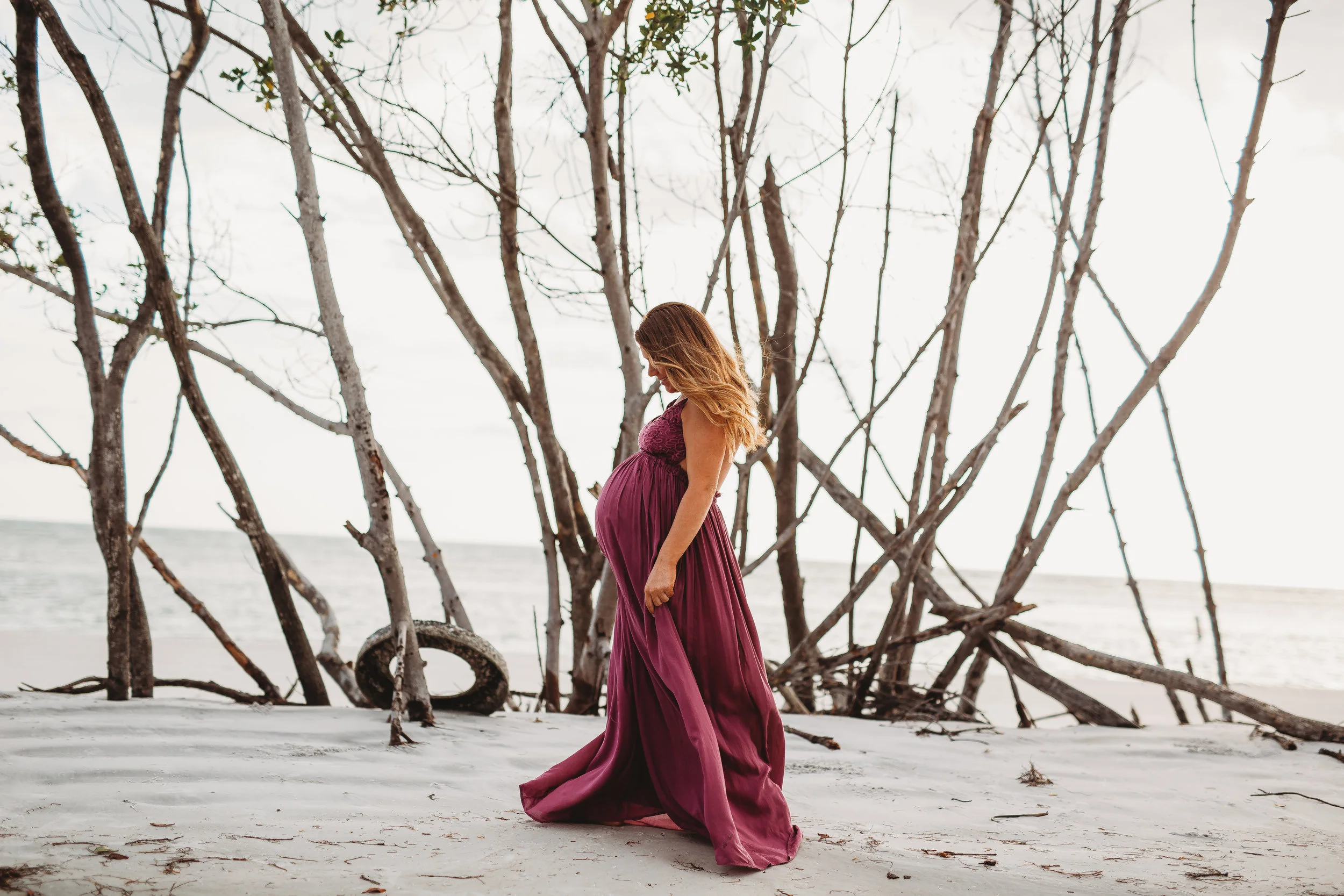 Tampa Bay Area Photographers