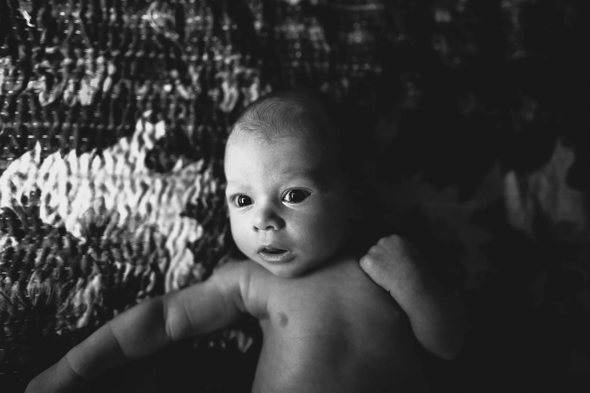 newborn and baby portrait photographer pinellas