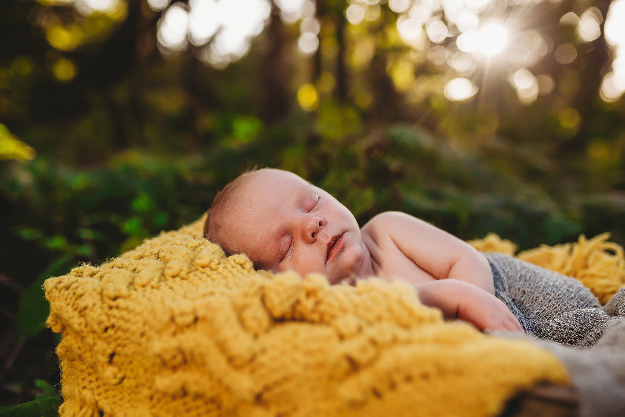 lifestyle newborn photographer, pinellas county fl