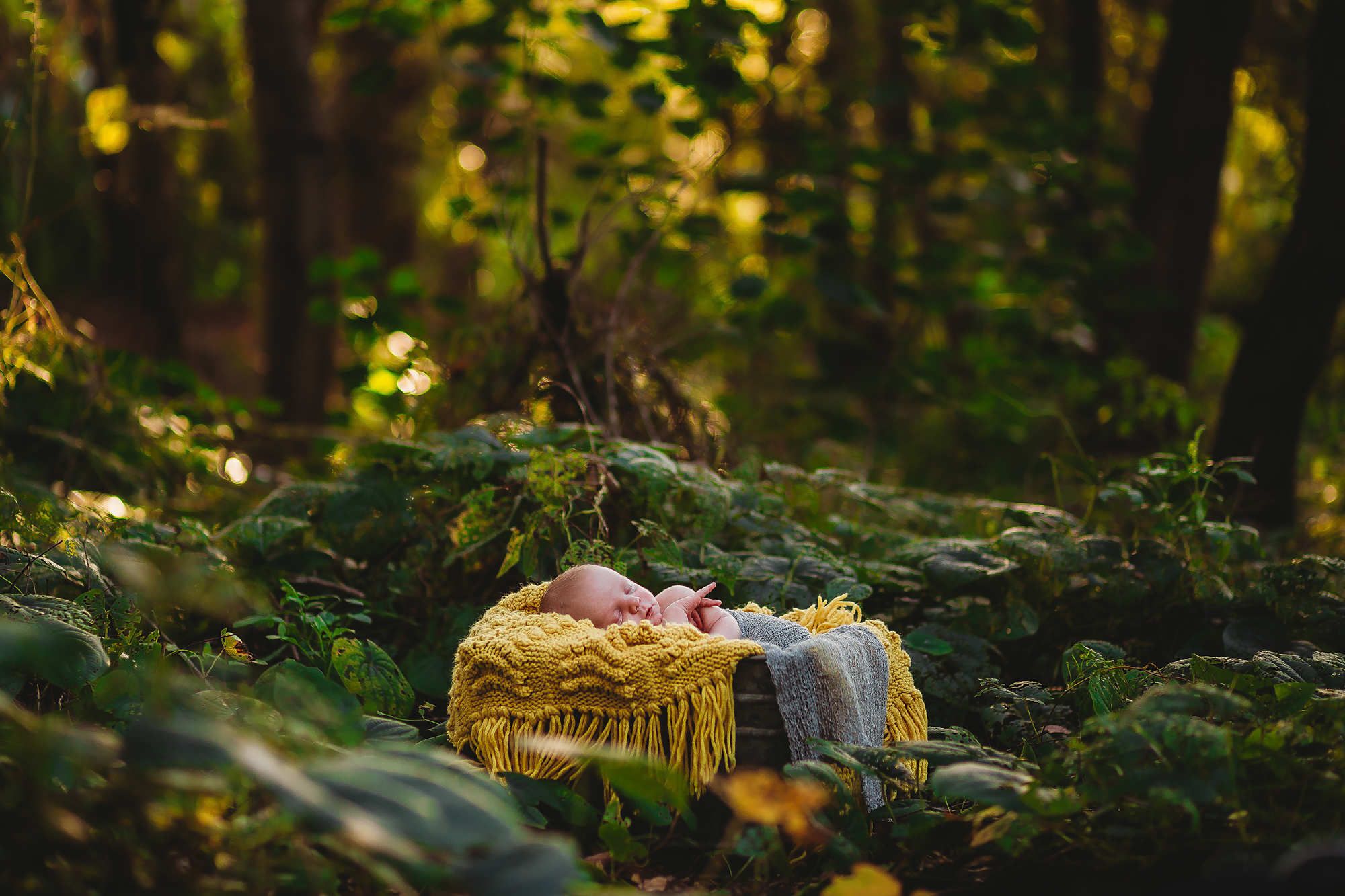 newborn photography of pinellas county fl