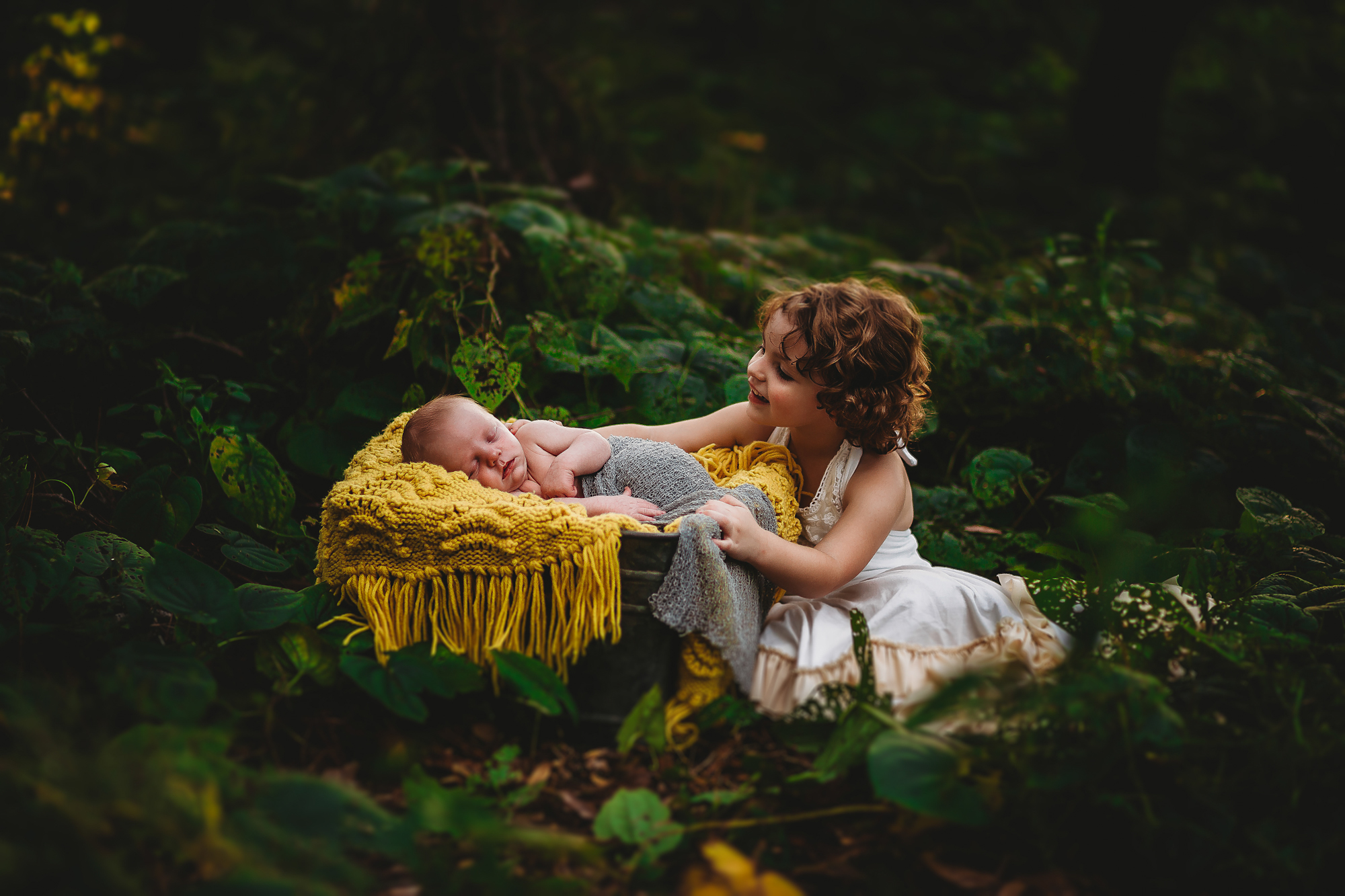 newborn portrait photographer, pinellas county fl
