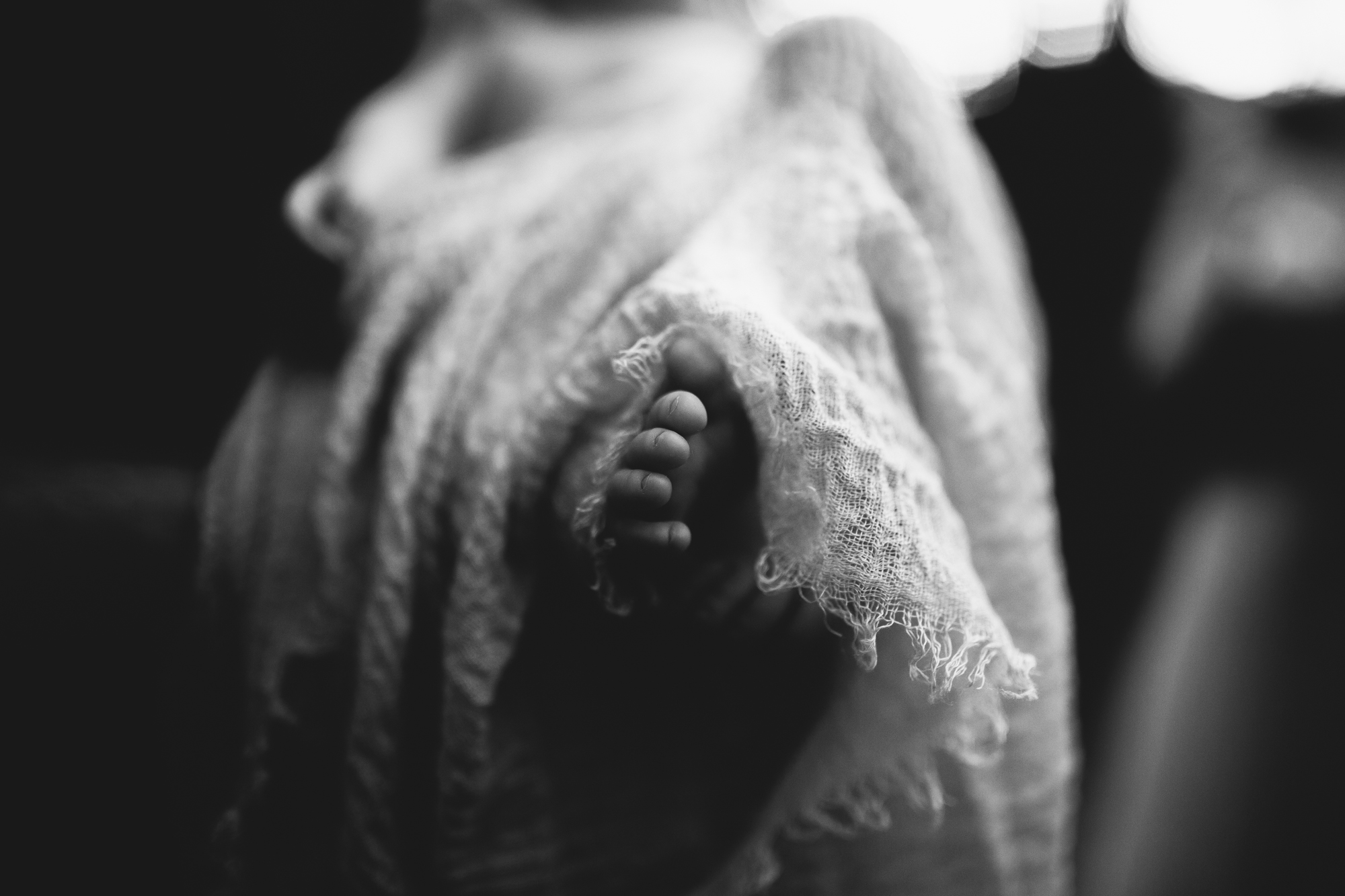 fine art baby portraits, tampa bay moms