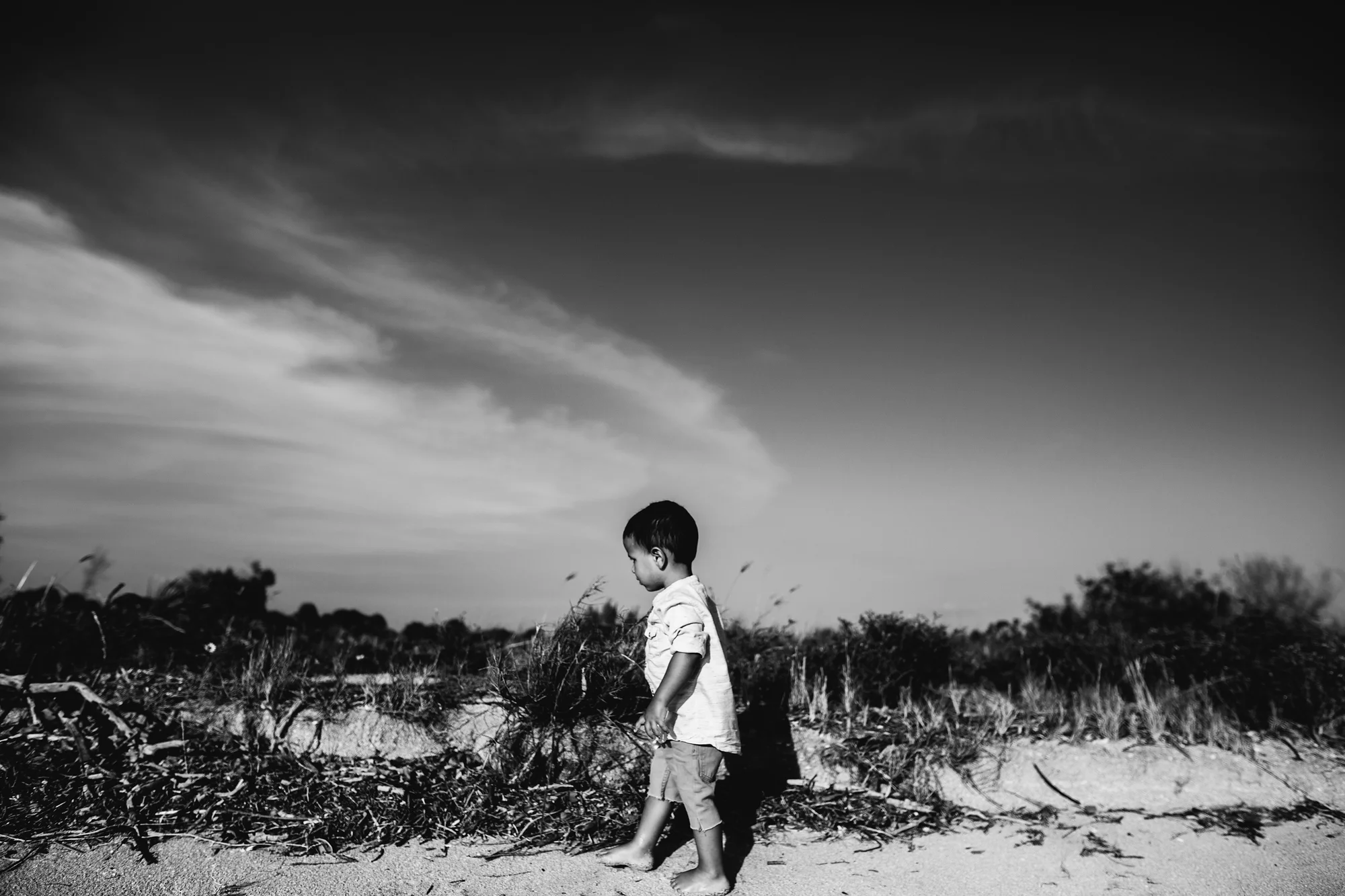 beach family photo's, st pete fl