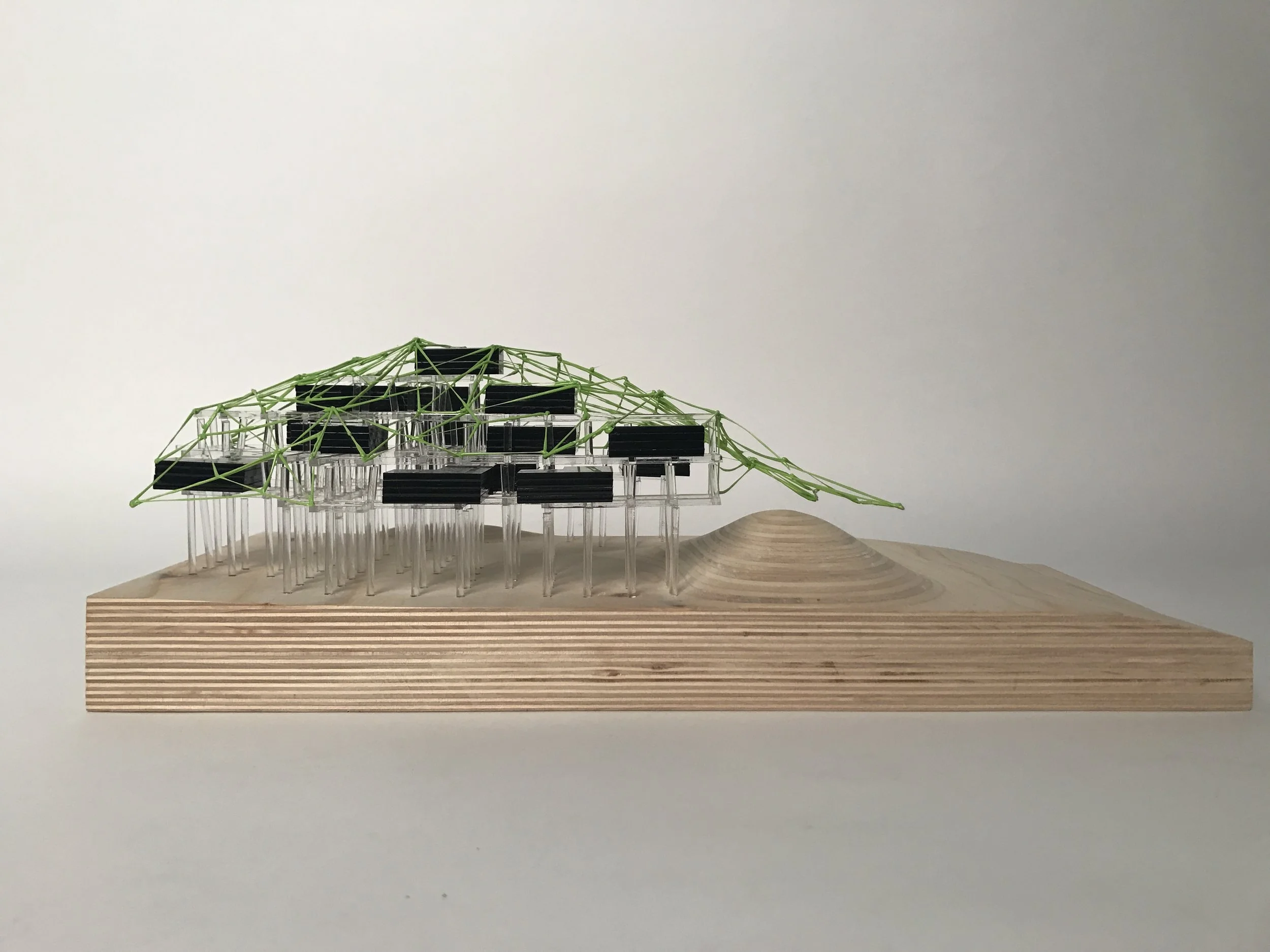 Study Model
