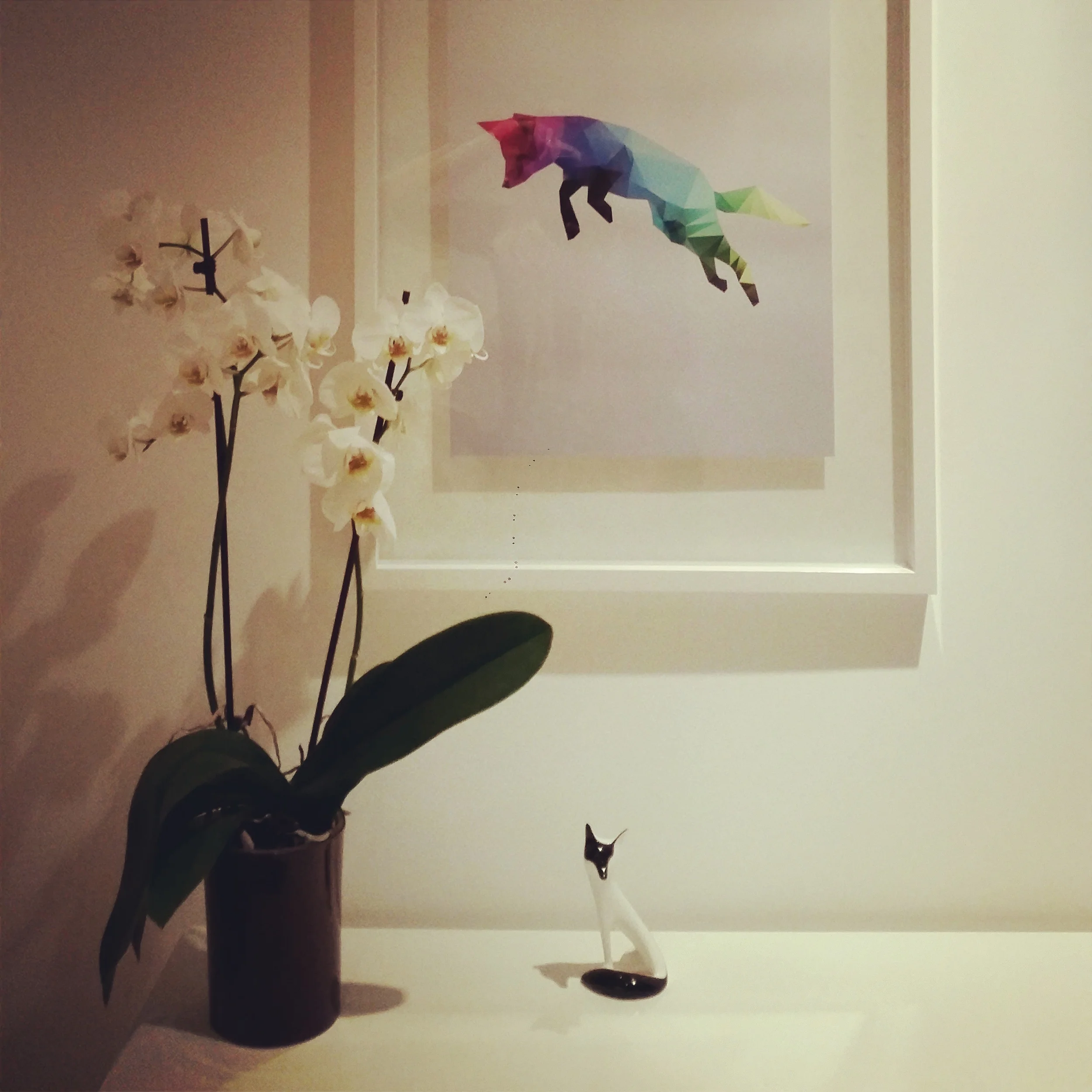 Vivid home pic.jpg
