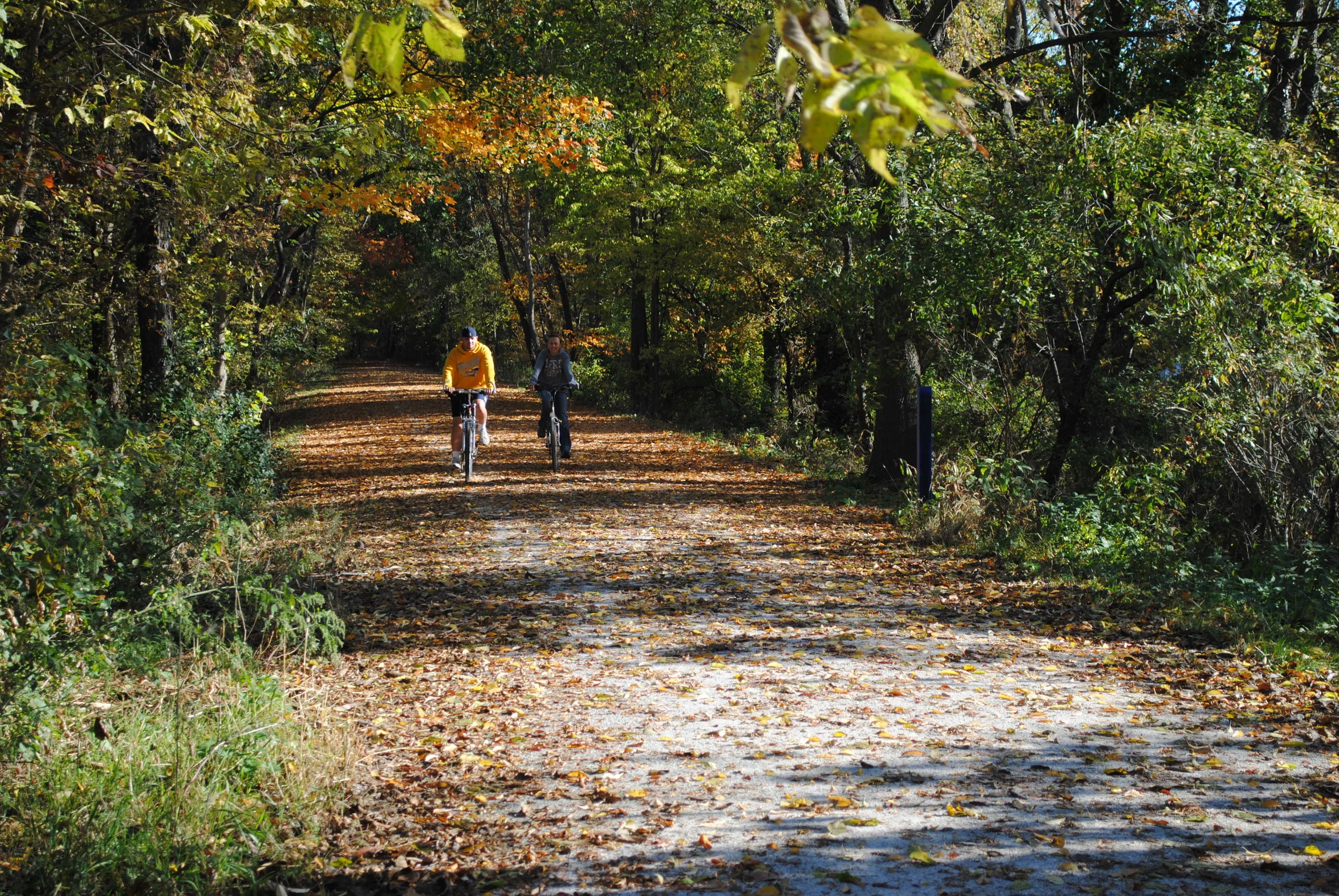 Maple City Greenway.JPG
