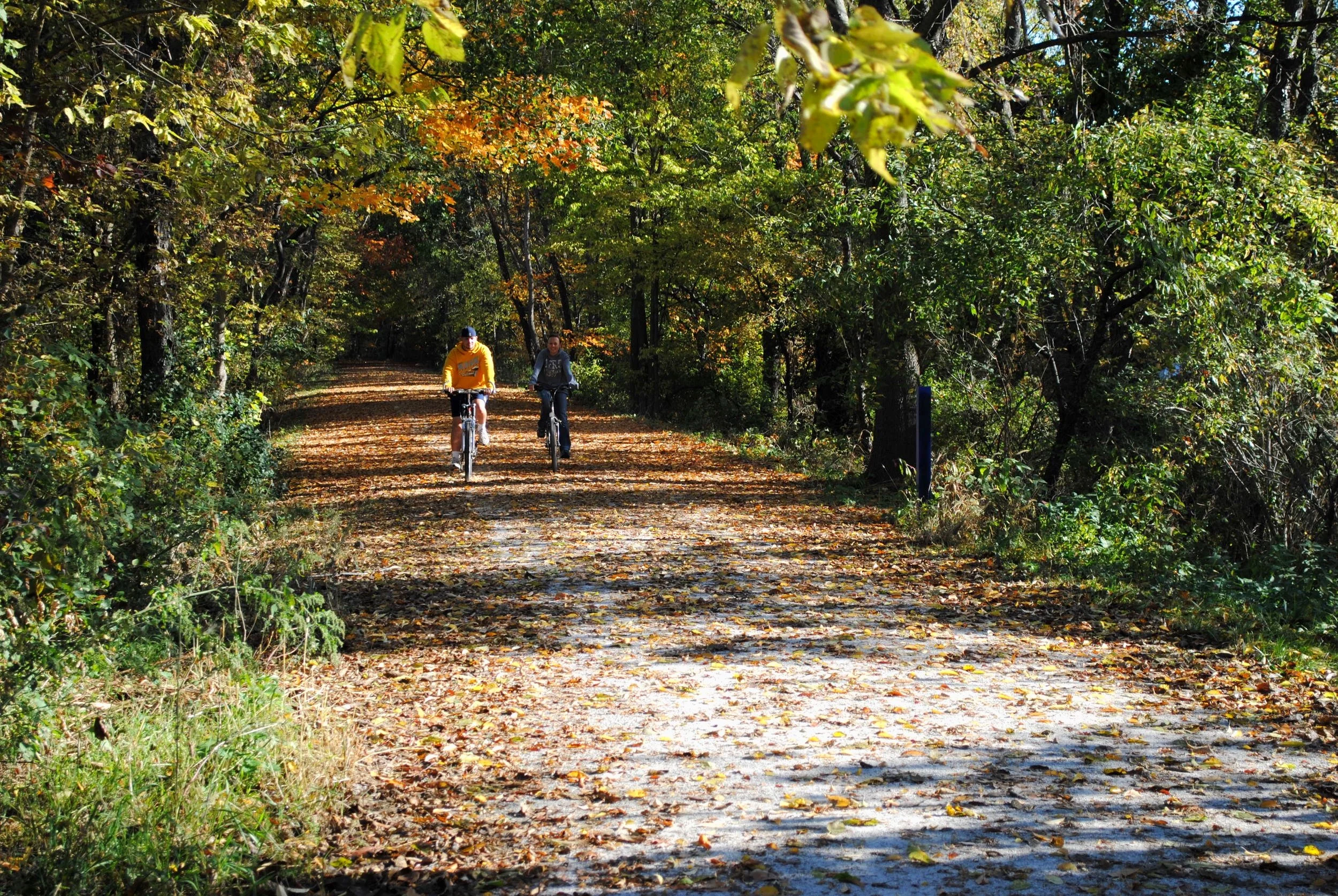 Maple+City+Greenway.jpg