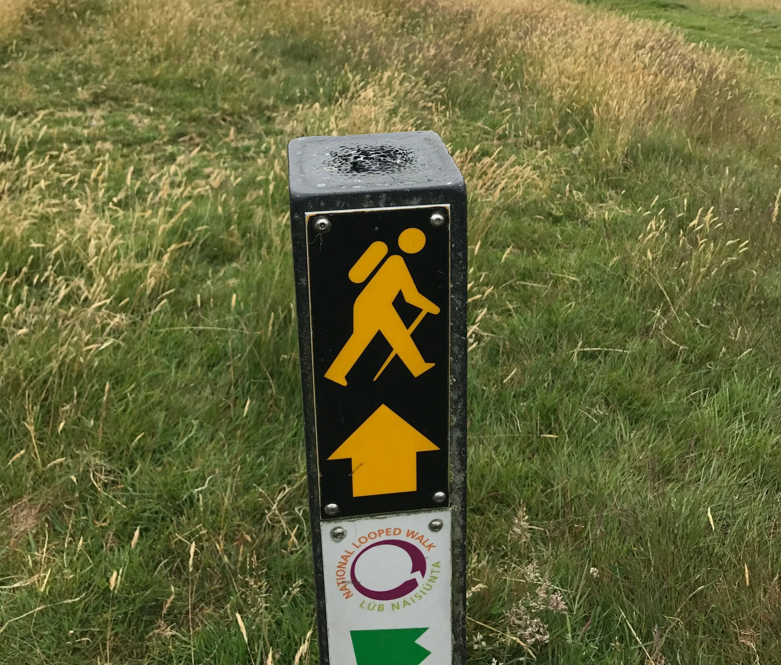 The yellow man waymark will become a welcomed companion on the Wicklow Way.
