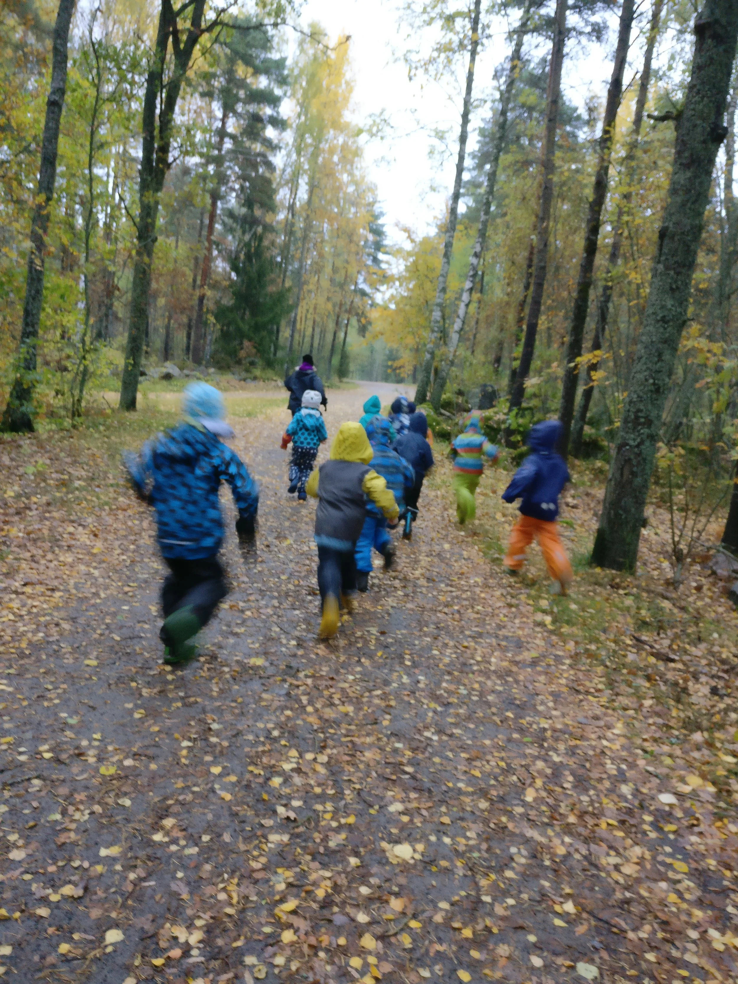 IMG_20171003_094846_01.jpg