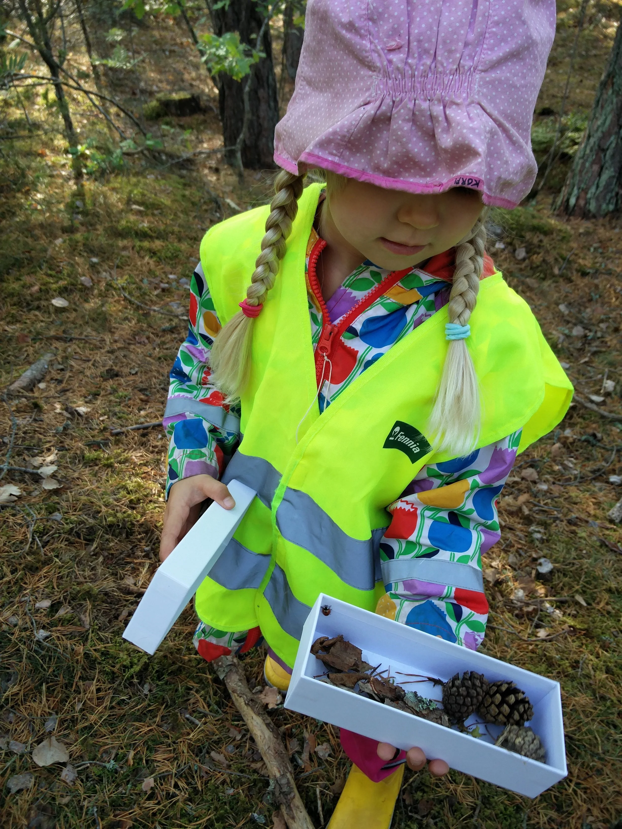 Huomasitko, mikä ihana kaveri tähän metsään hyppäsi?