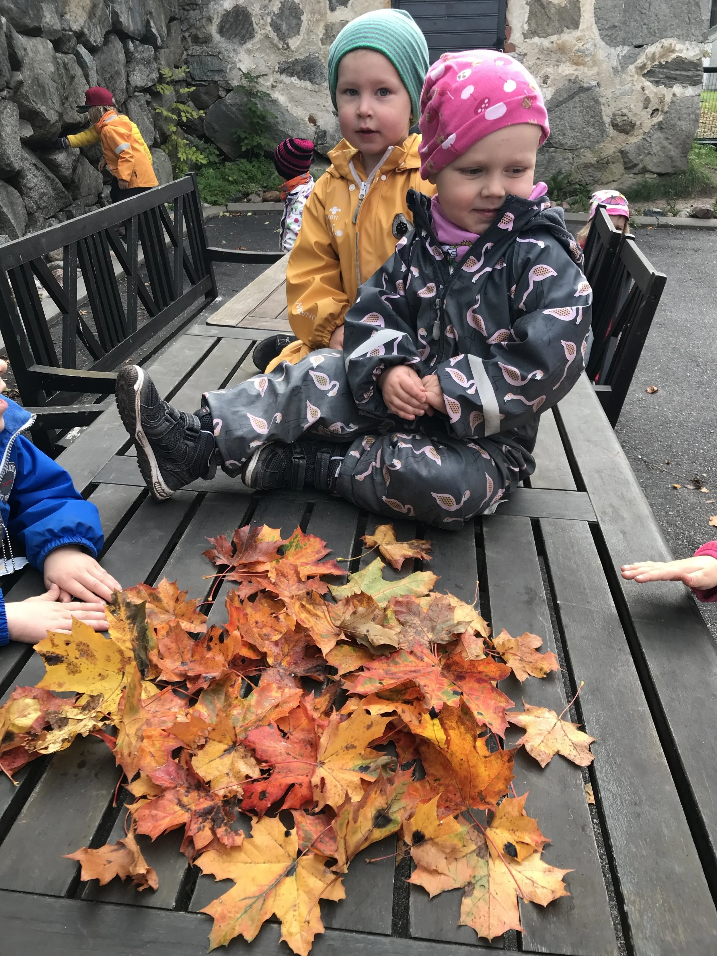 Keräsimme ihanan ihania syksyisiä lehtiä