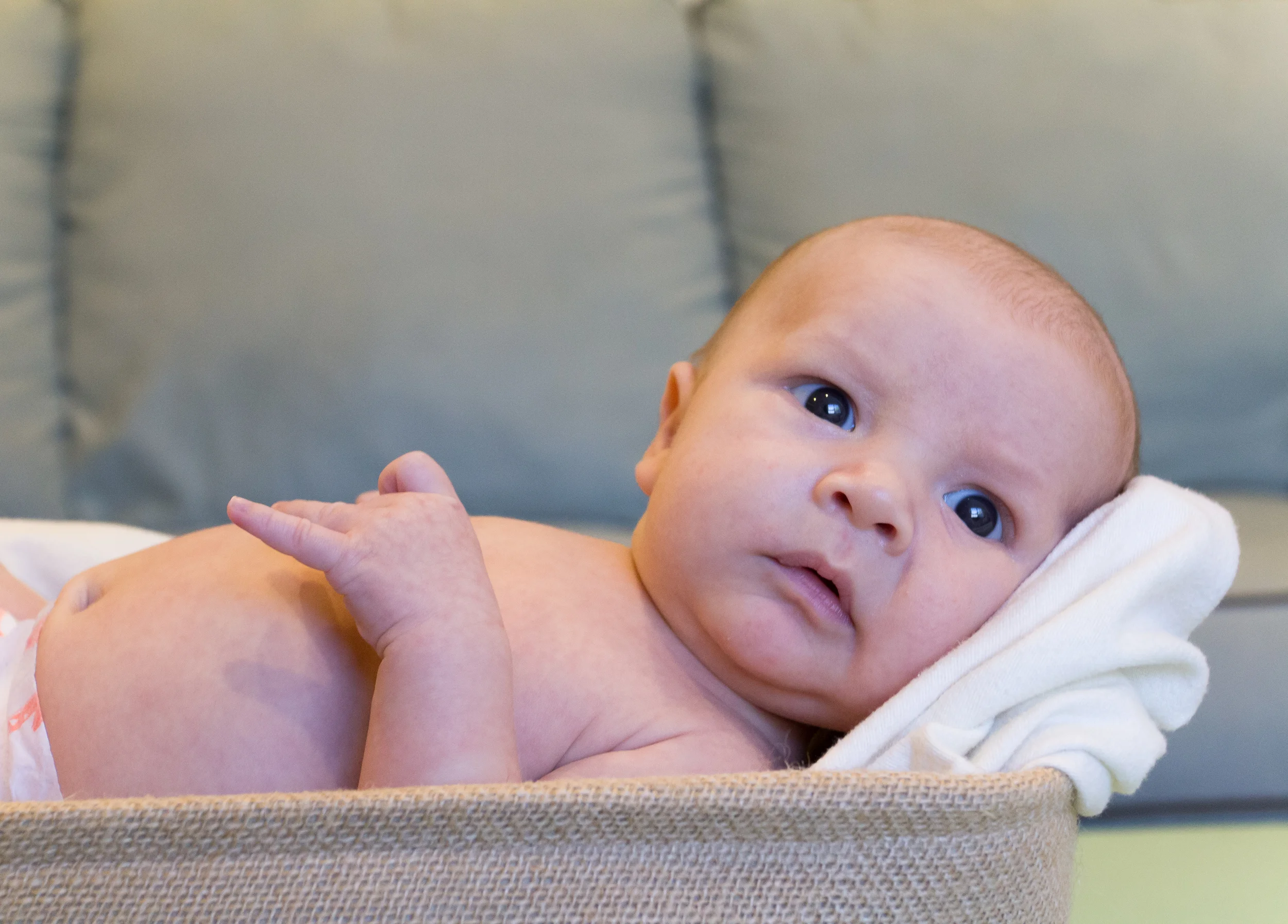 Warren Newborn Session (40 of 62).jpg