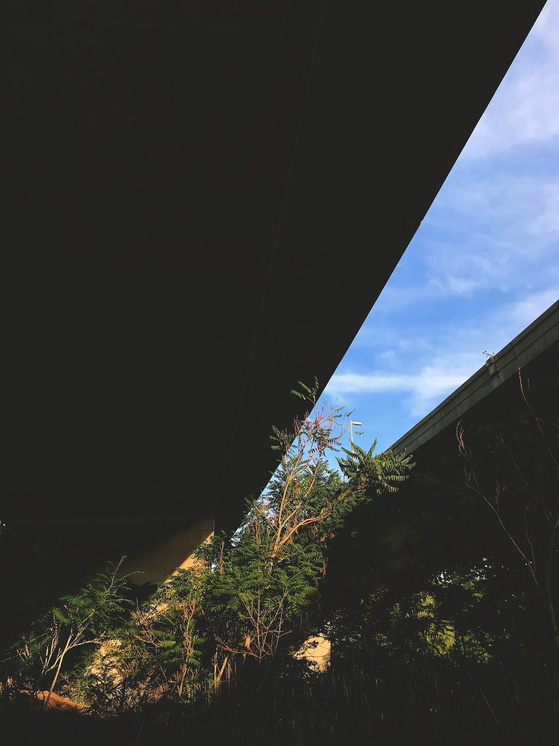 IMG_7474 (1).jpeg