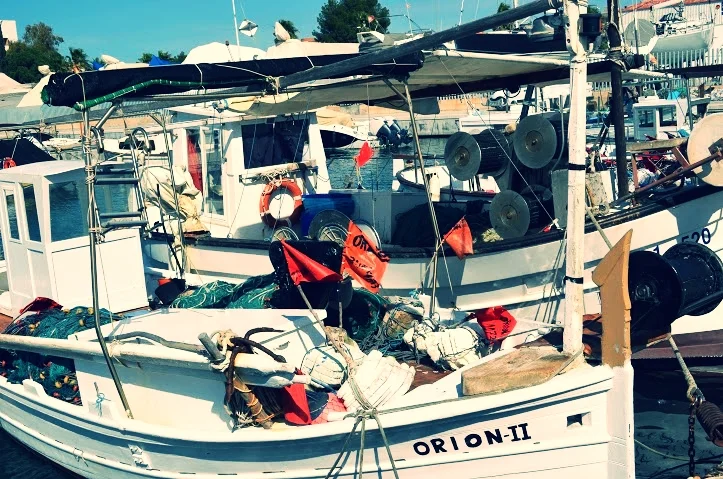 barcos.jpg