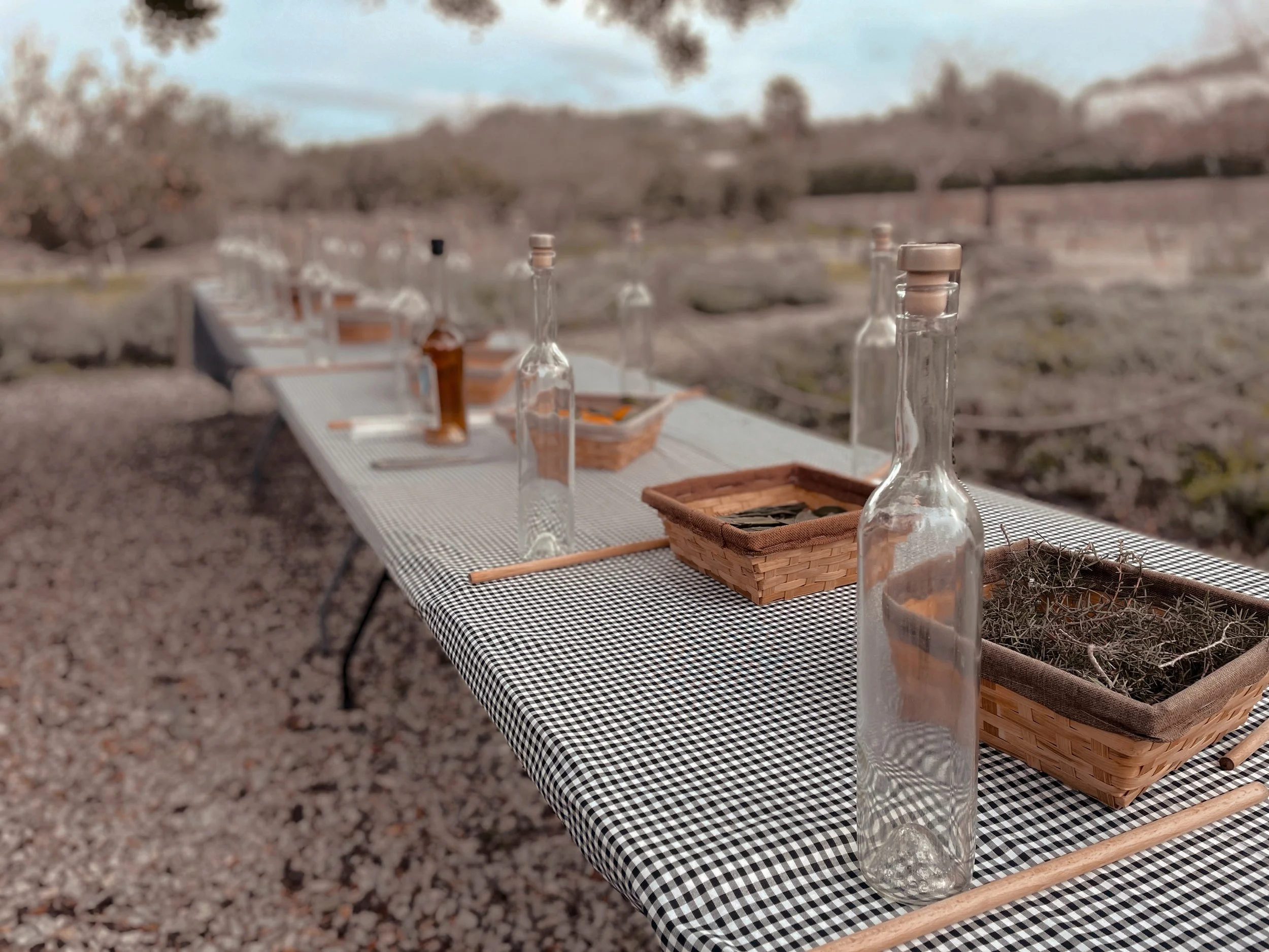 TALLER DE HIERBAS ARTESANAS POR FLUXÀ IBIZA