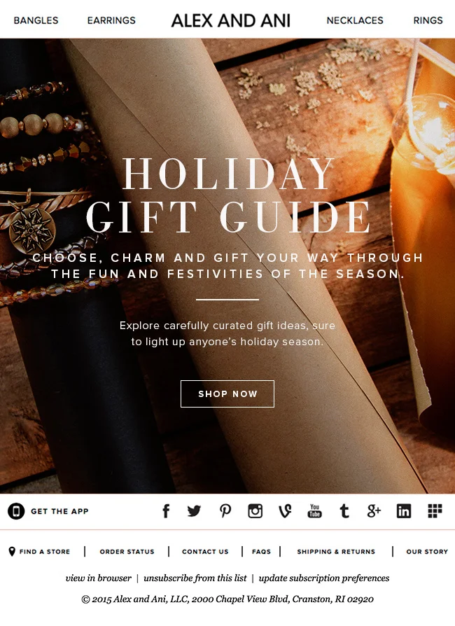 AlexandAni_emailsforwebsite_holidaygiftguide.jpg