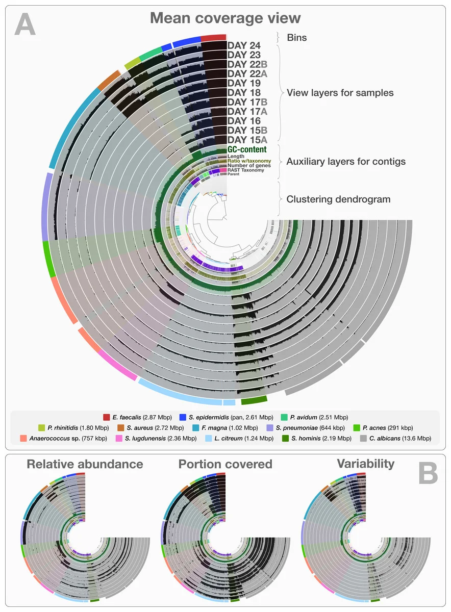 Fig. 2 from Eren et al. (2015). You spin me right round, baby, right round.