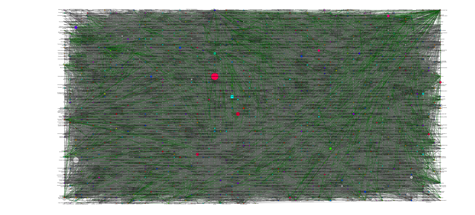 One of my networks in its raw form. I could re-arrange it but it still wouldn't make any sense. It needs to be trimmed, or maybe even decimated.