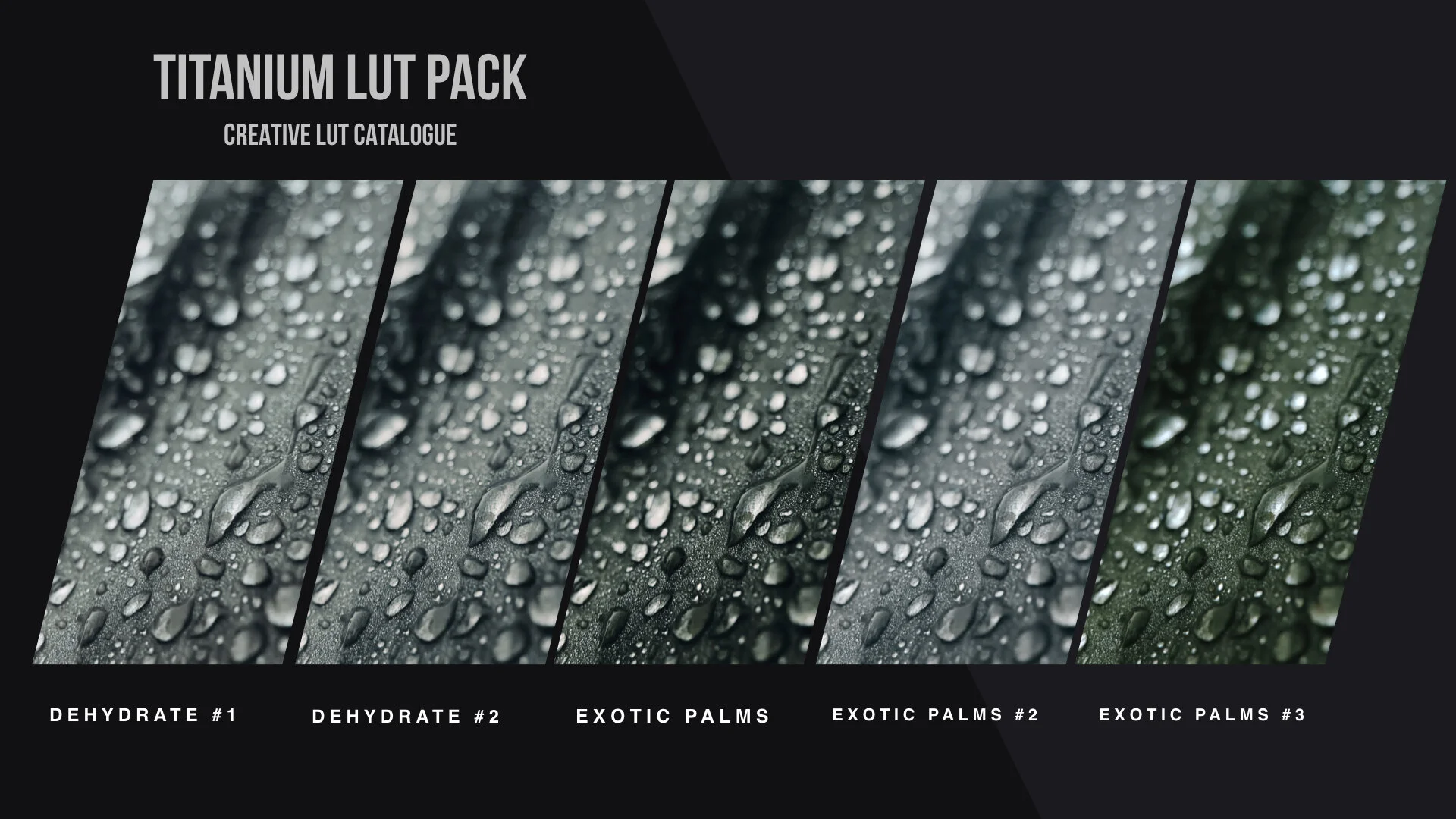 Titanium LUT Pack PREVIEW images.002.jpeg
