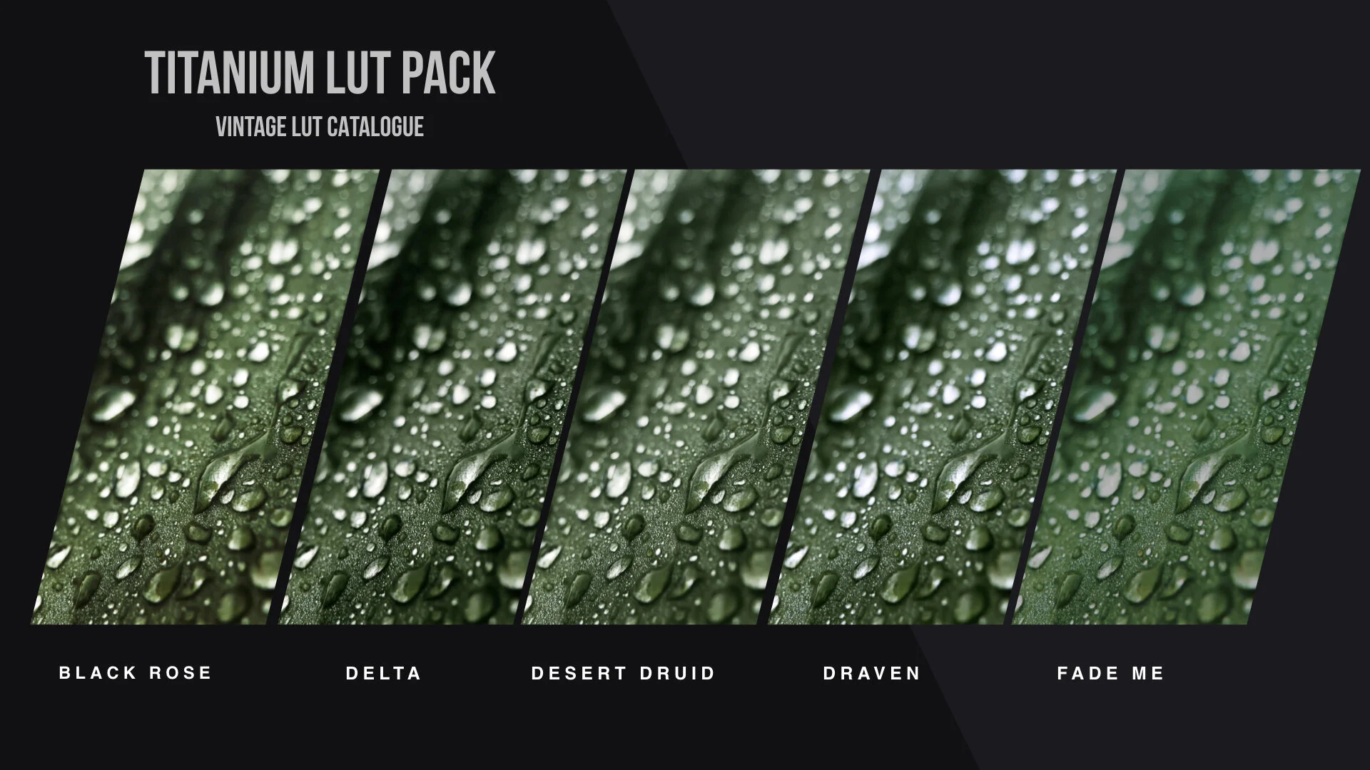 Titanium LUT Pack PREVIEW images.007.jpeg