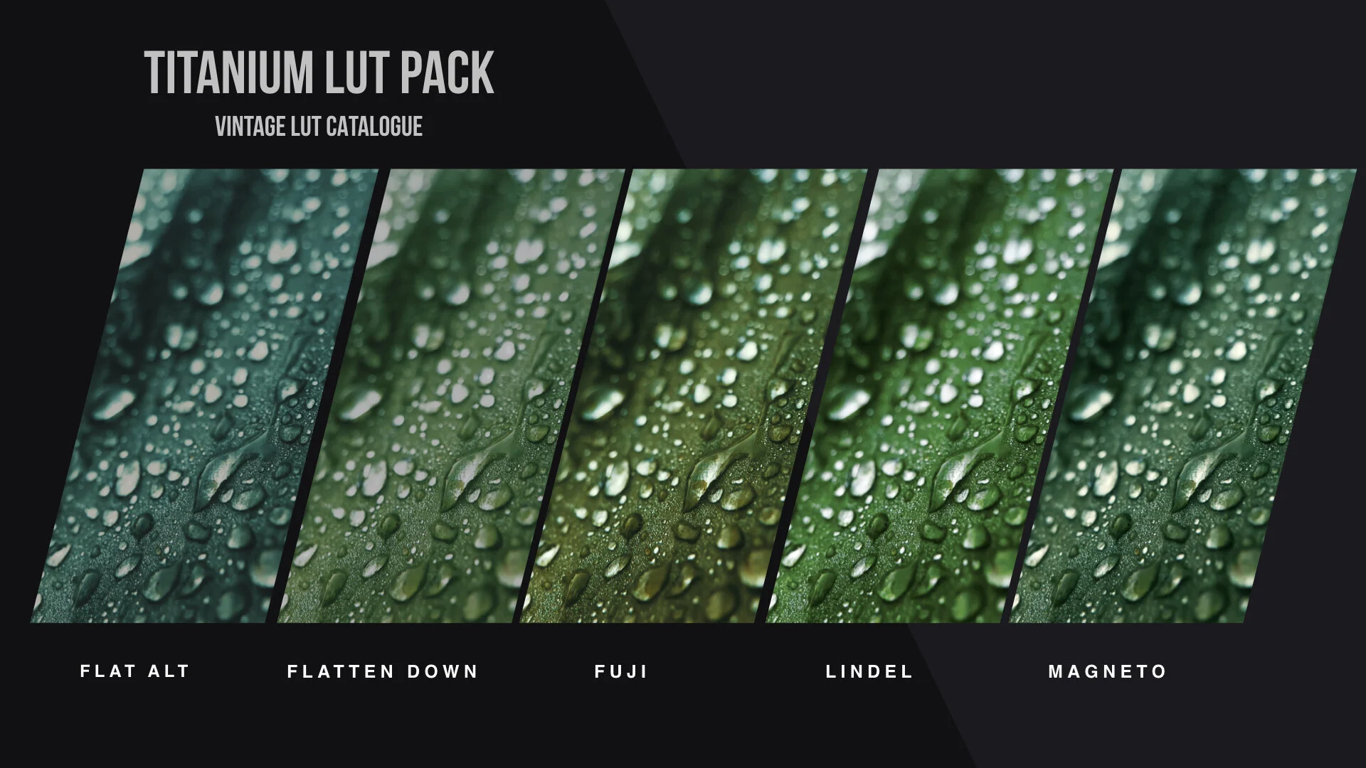 Titanium LUT Pack PREVIEW images.008.jpeg