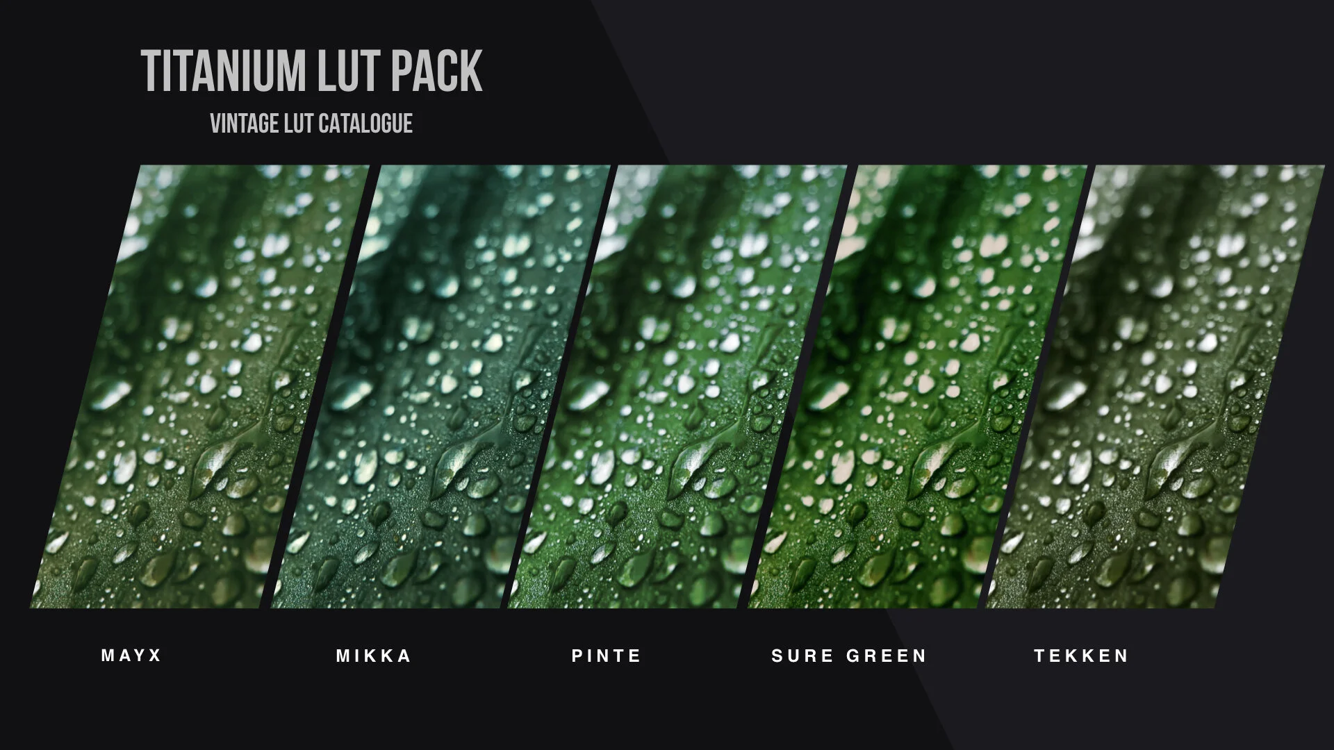 Titanium LUT Pack PREVIEW images.009.jpeg
