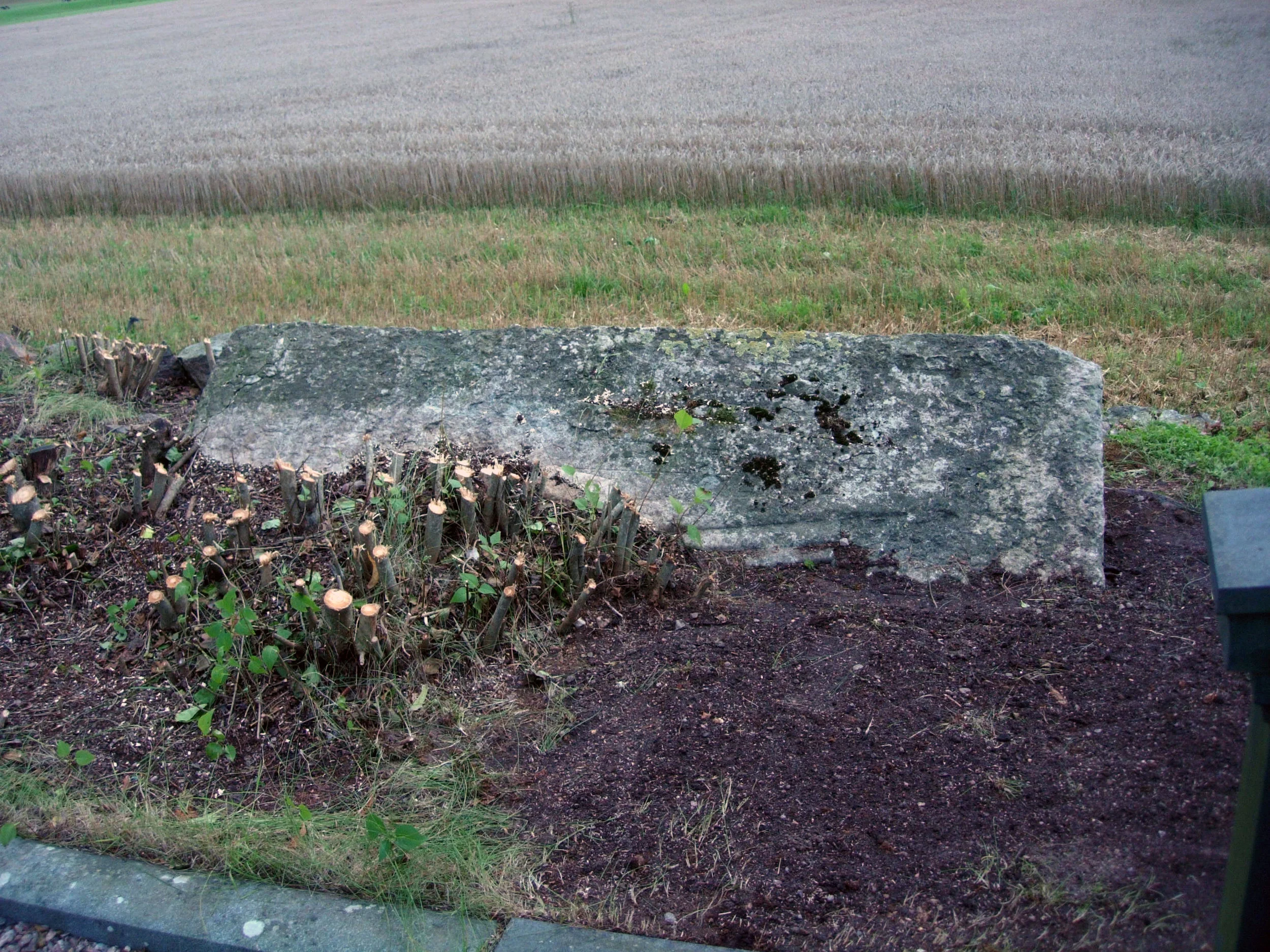 reliefvittring, ovan jord1.jpg